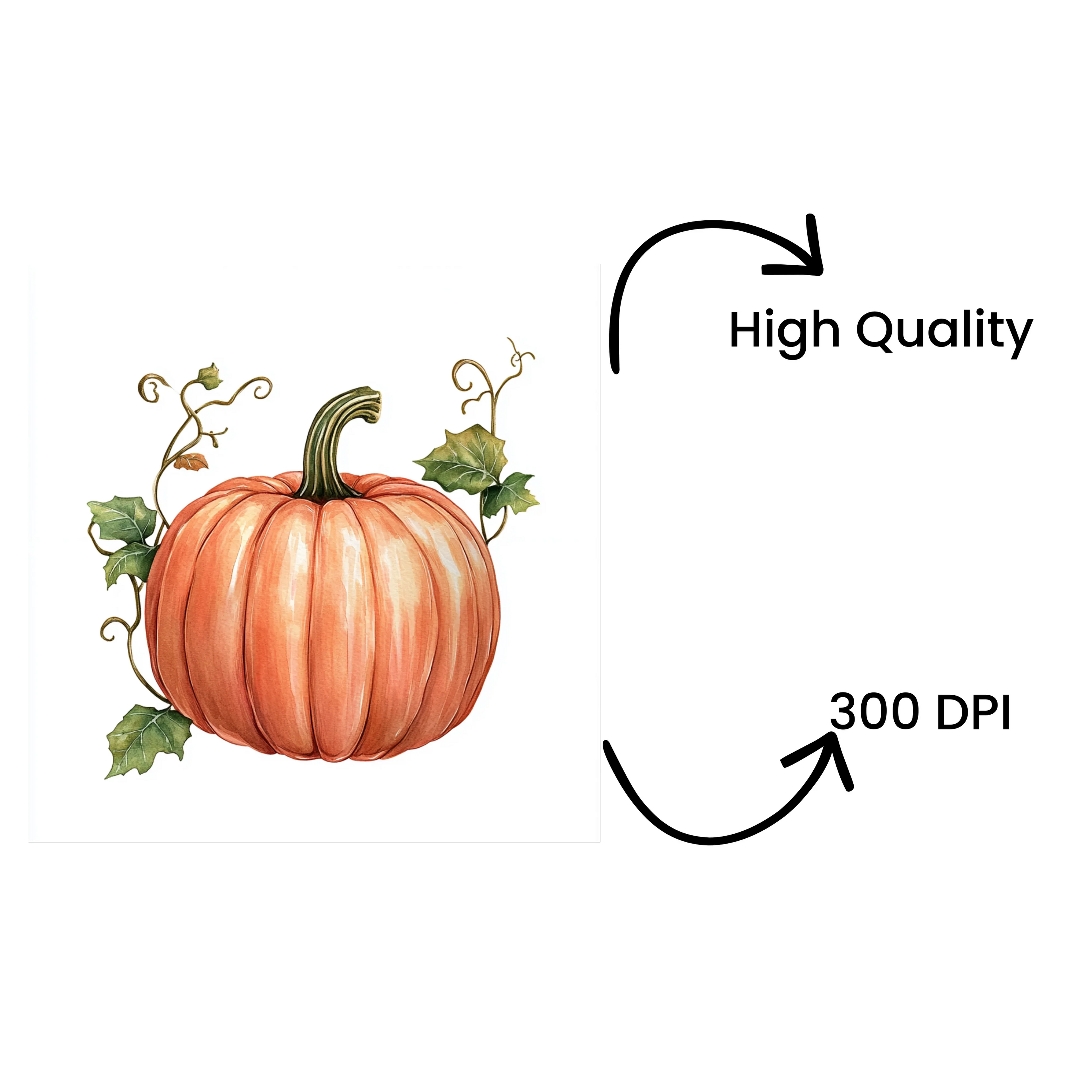 Pumpkin Clipart Bundle