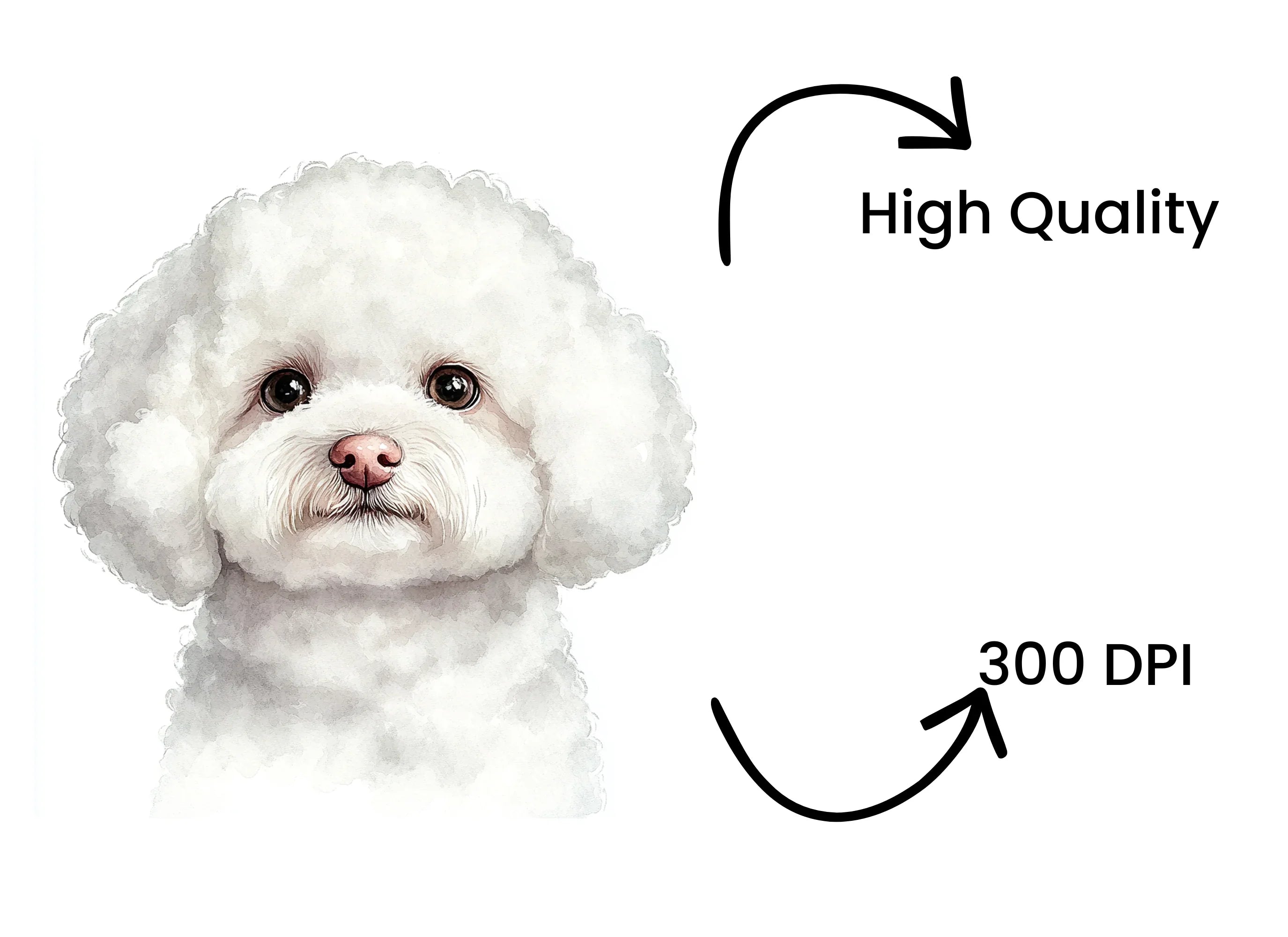 Bichon Frise Puppy Face Clipart Bundle