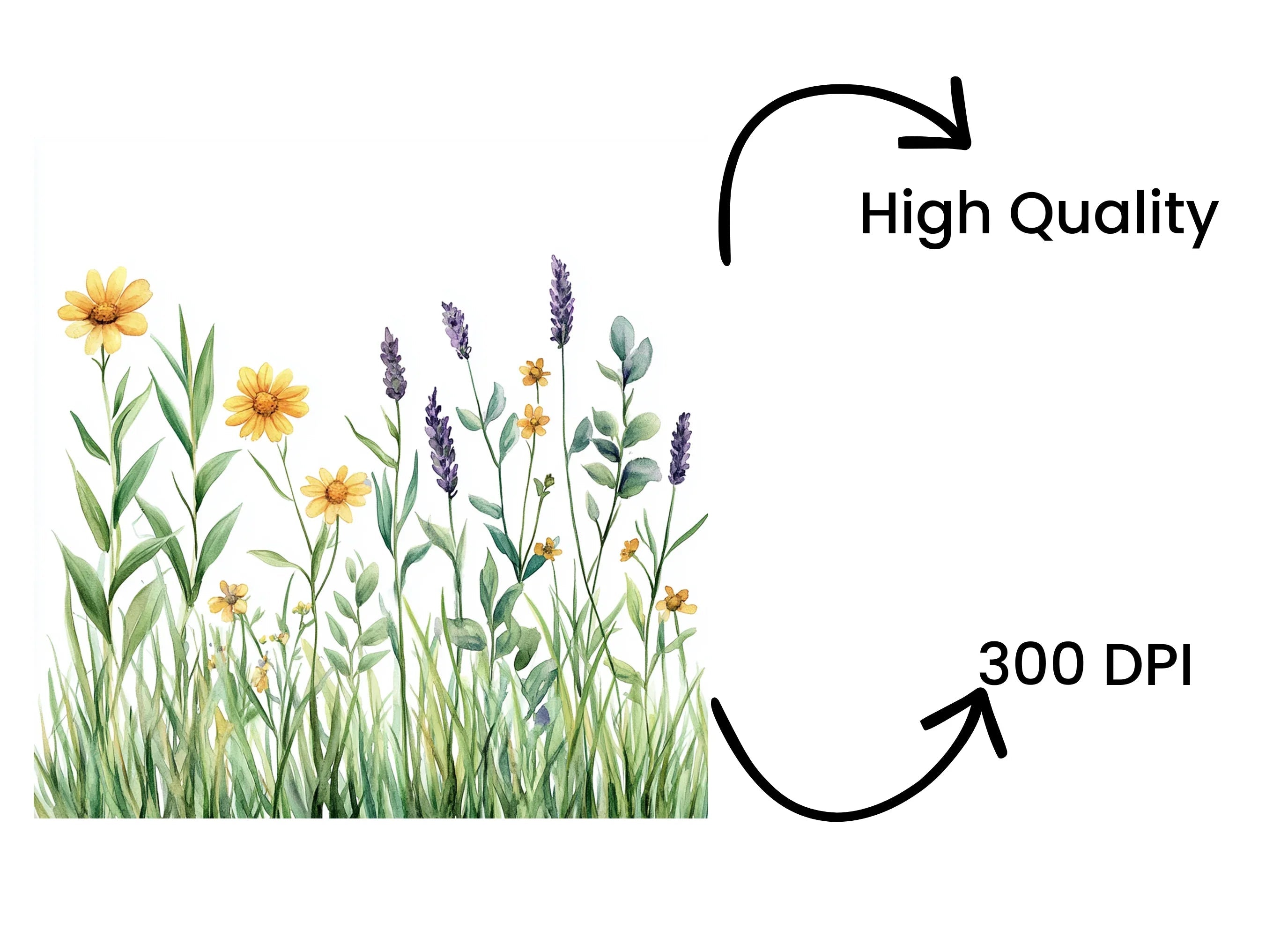 Wildflower Meadow Clipart Bundle