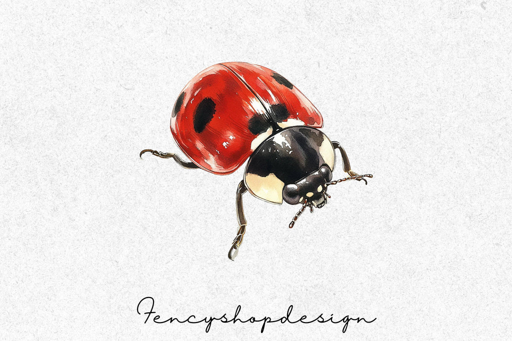 Ladybug Clipart Bundle