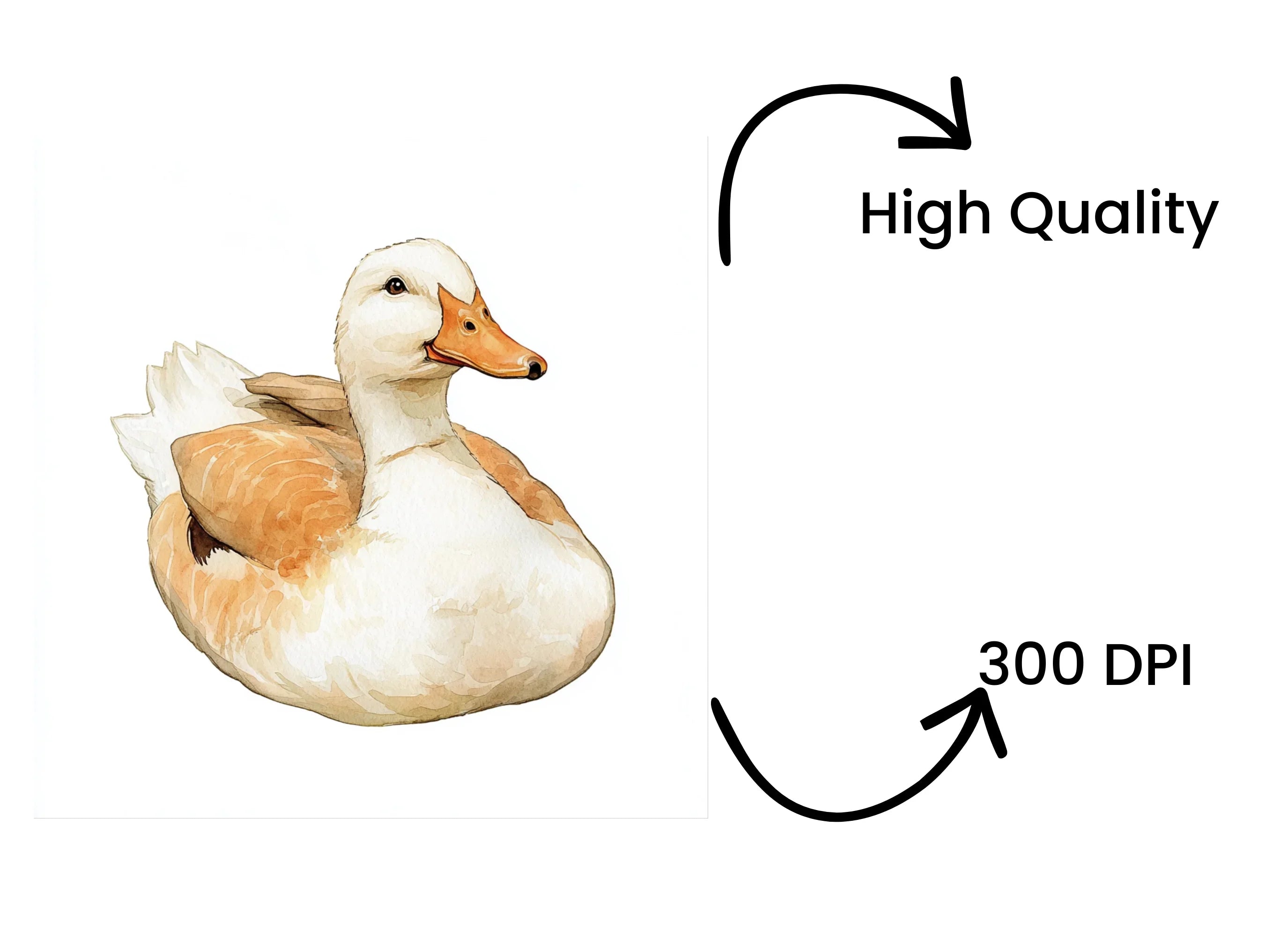 Cute Duck Clipart Bundle