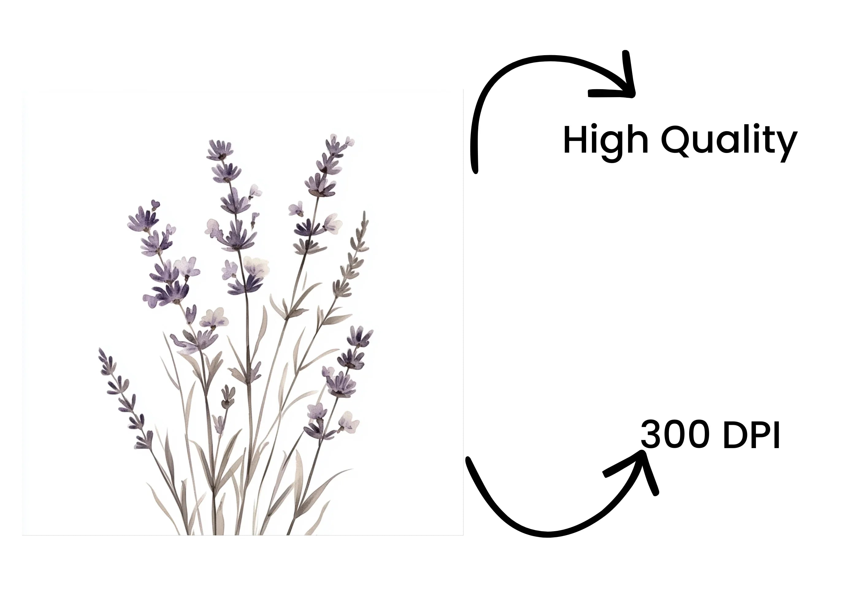 Lavender Clipart Bundle