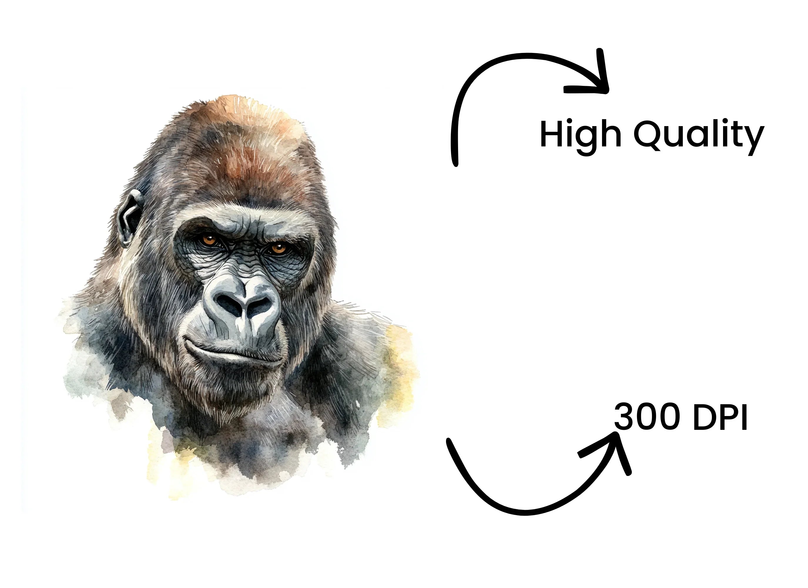 Expressive Gorilla Clipart Bundle