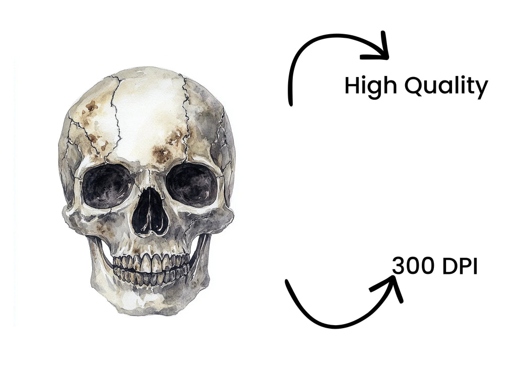 Skull Clipart Bundle