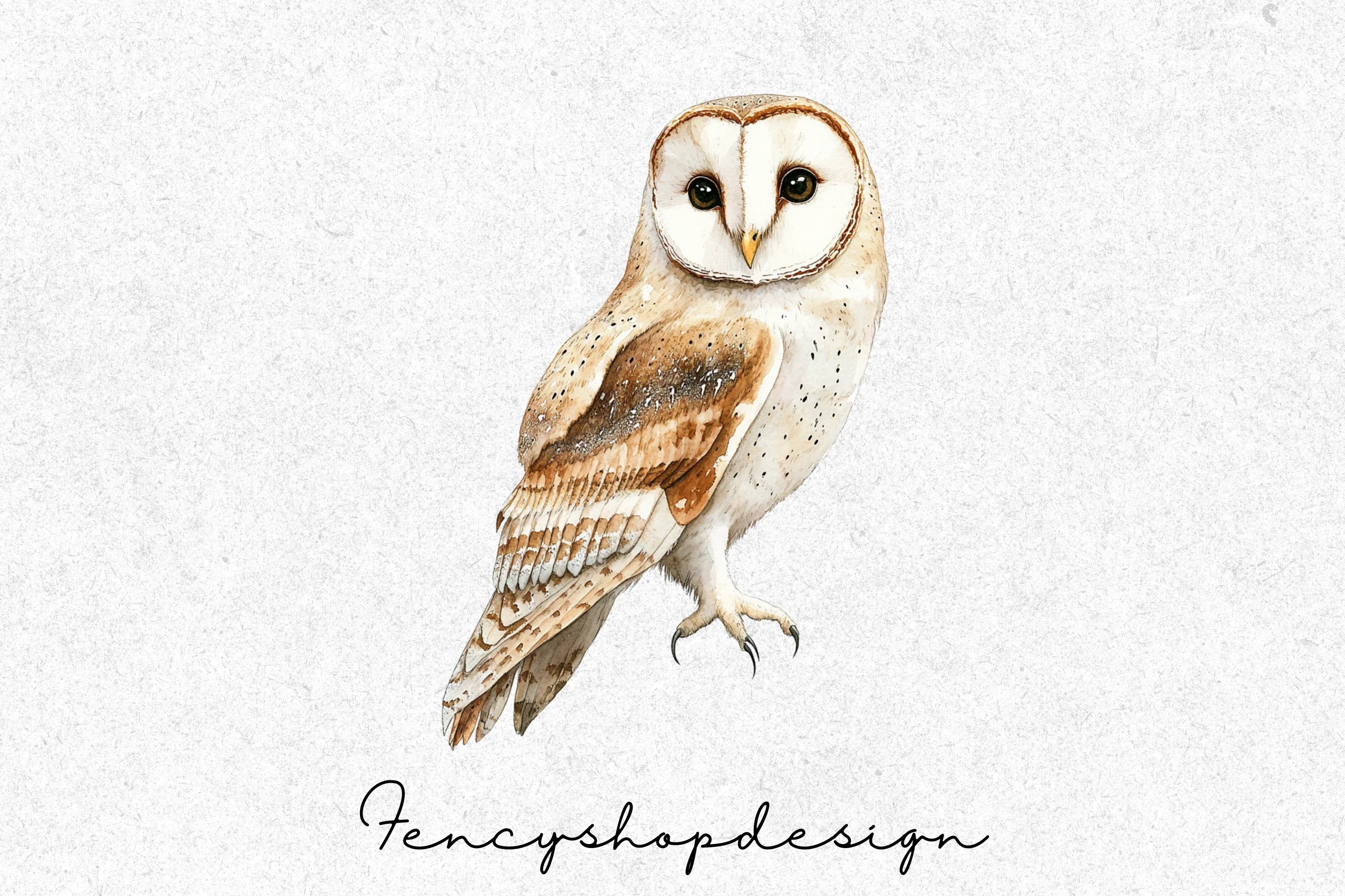 Cute Floral Owl Clipart Bundle