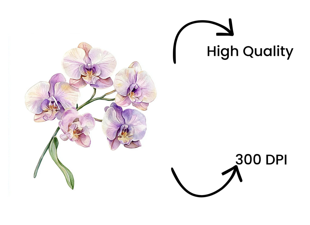 Elegant Orchid Clipart Bundle
