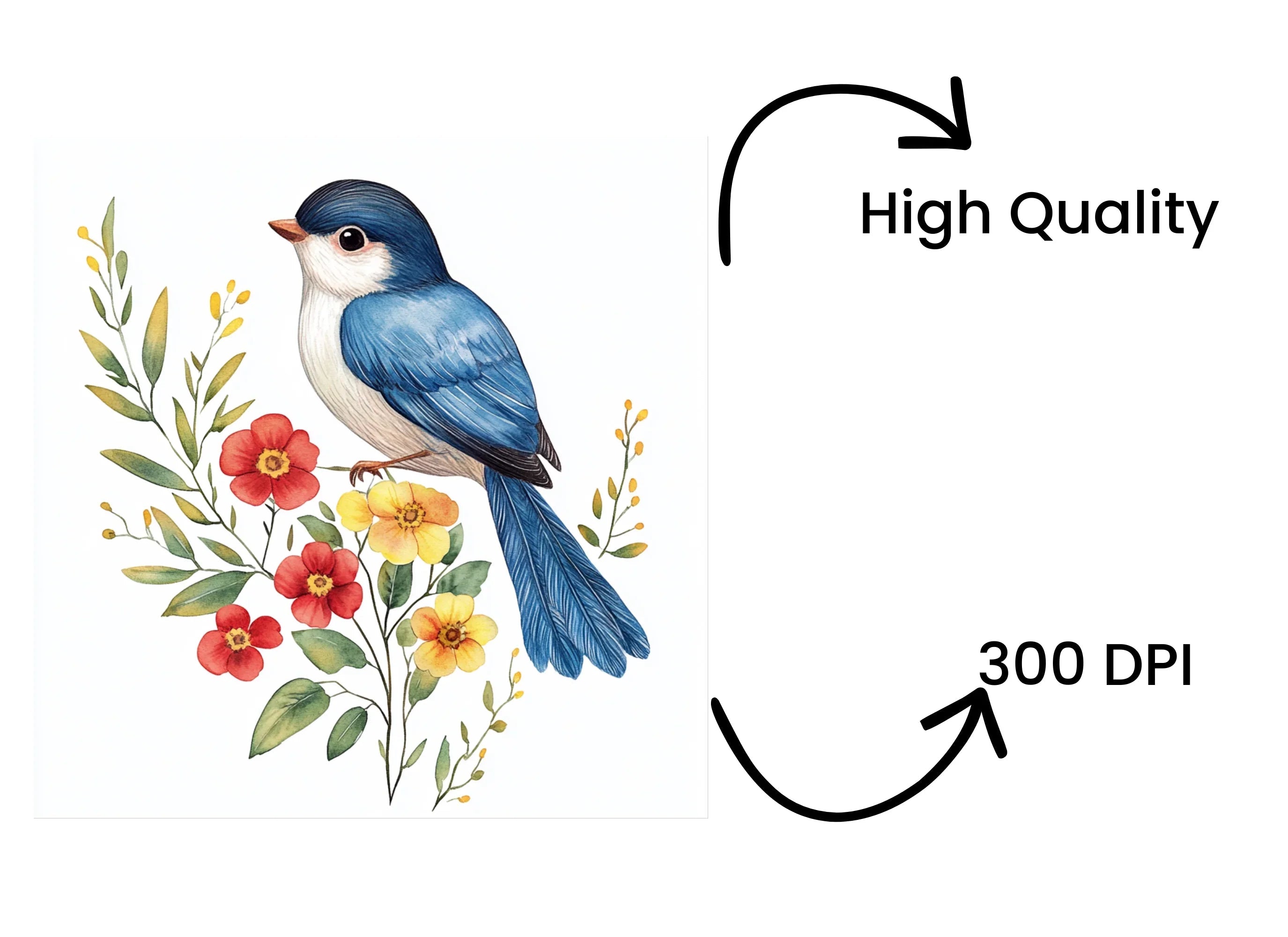 Cute Blue Birds with Spring Flowers Clipart Bundle