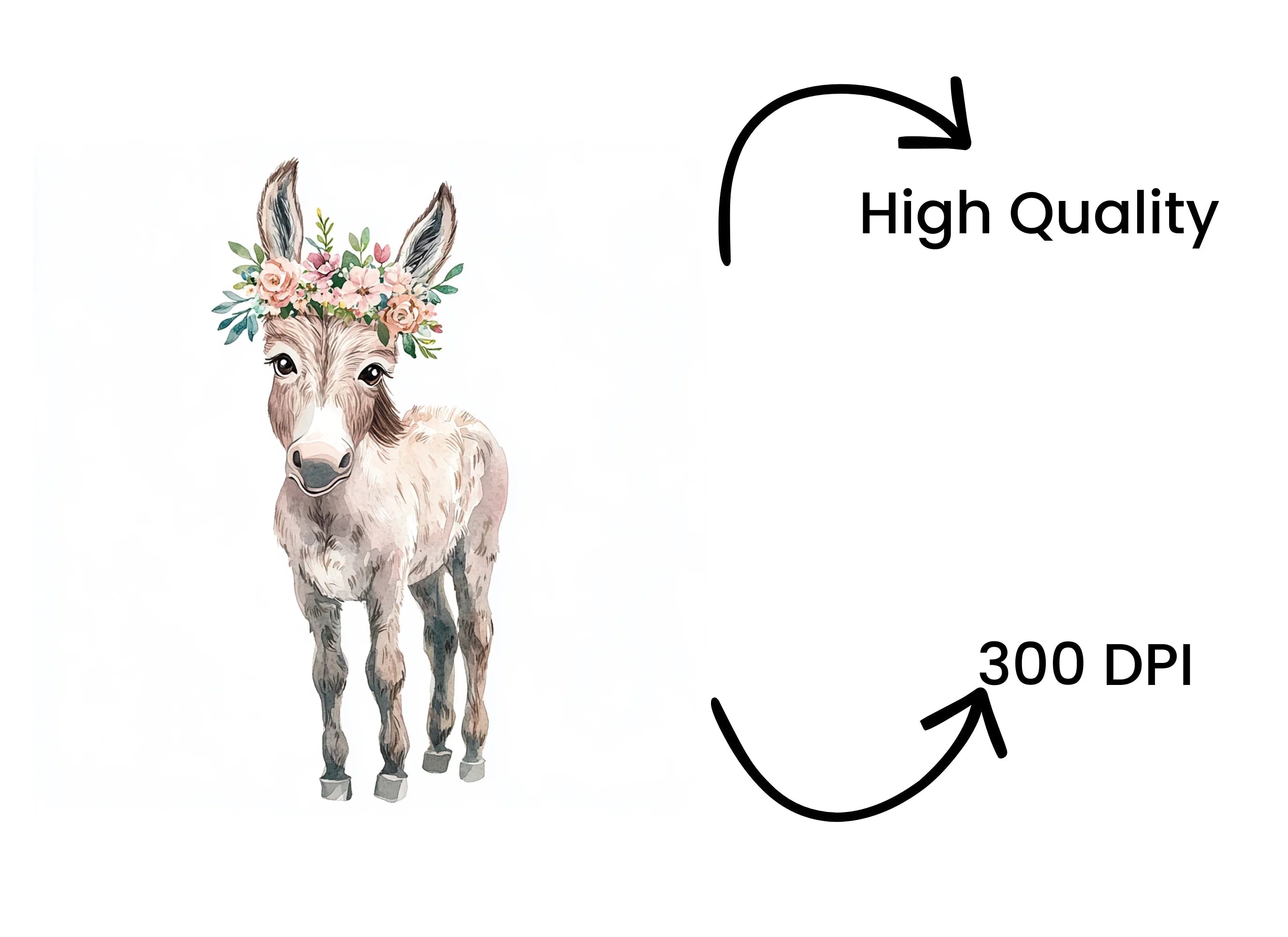 Cute Donkey with Floral Crown Clipart Bundle