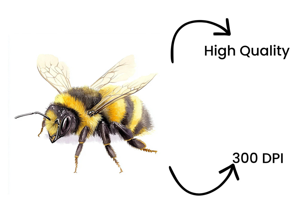 Bumblebee Clipart Bundle