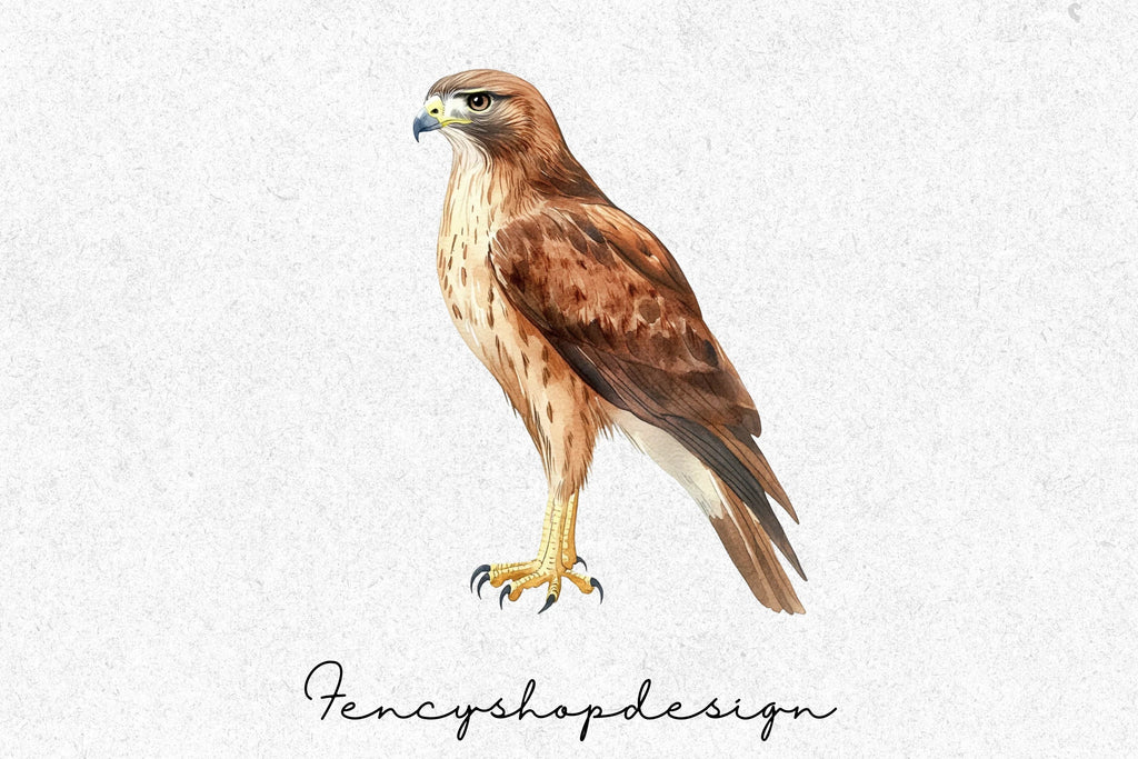 Majestic Hawk Bird Clipart Bundle