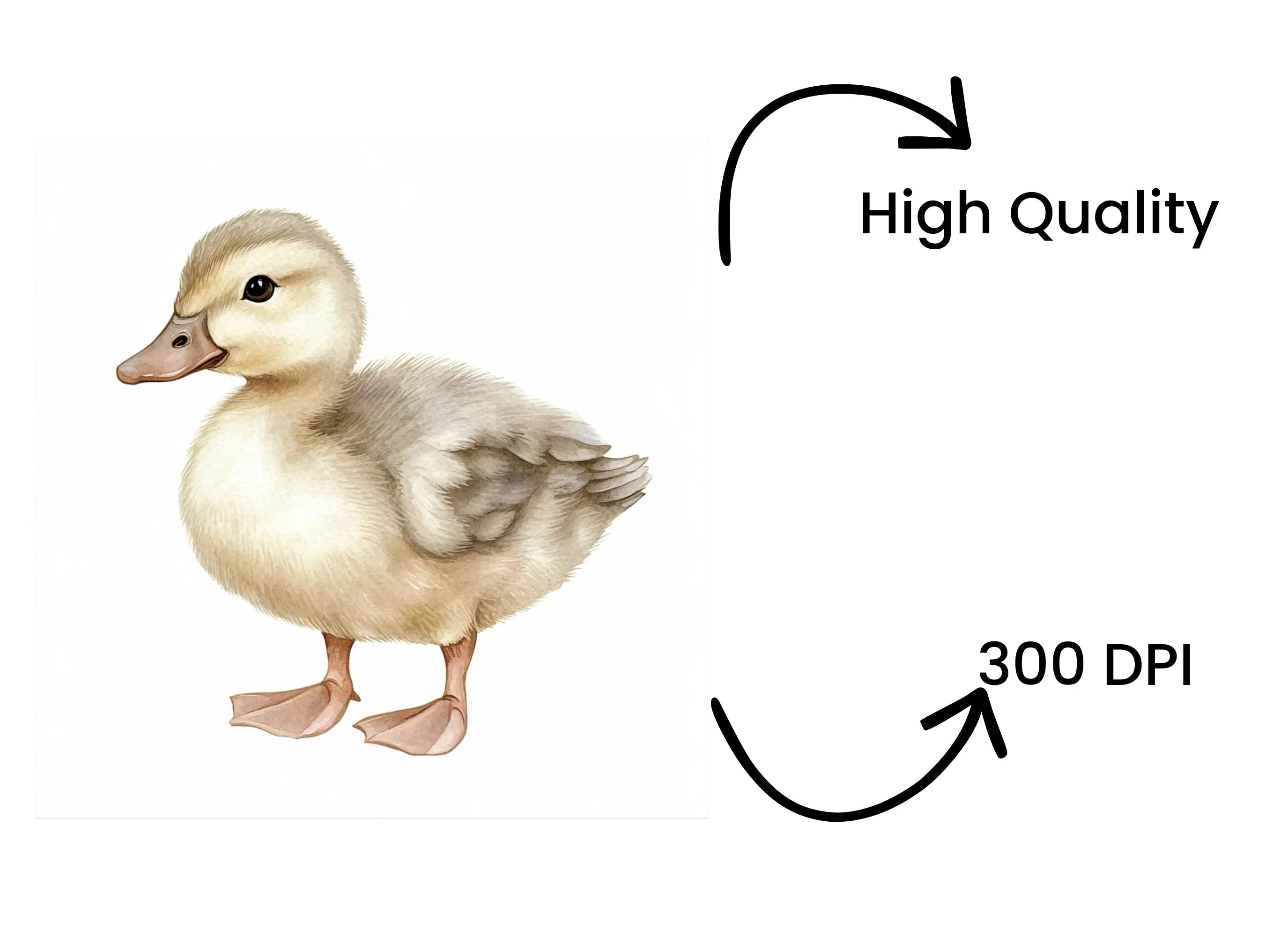 Adorable Duckling Clipart Bundle
