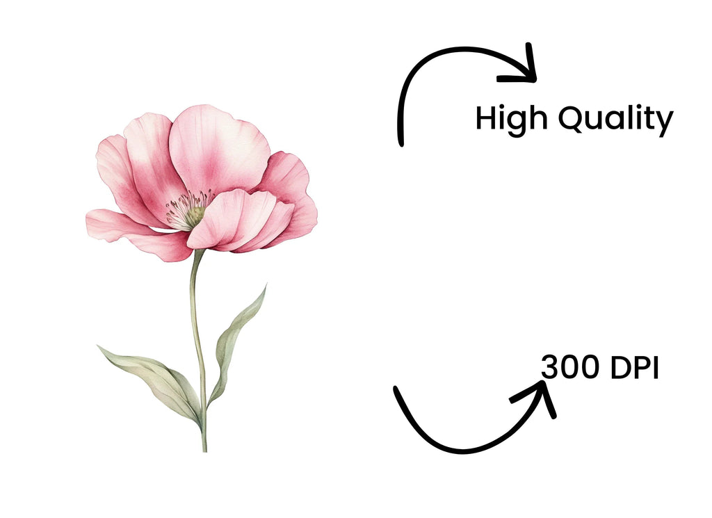 Pink Flower Clipart Bundle