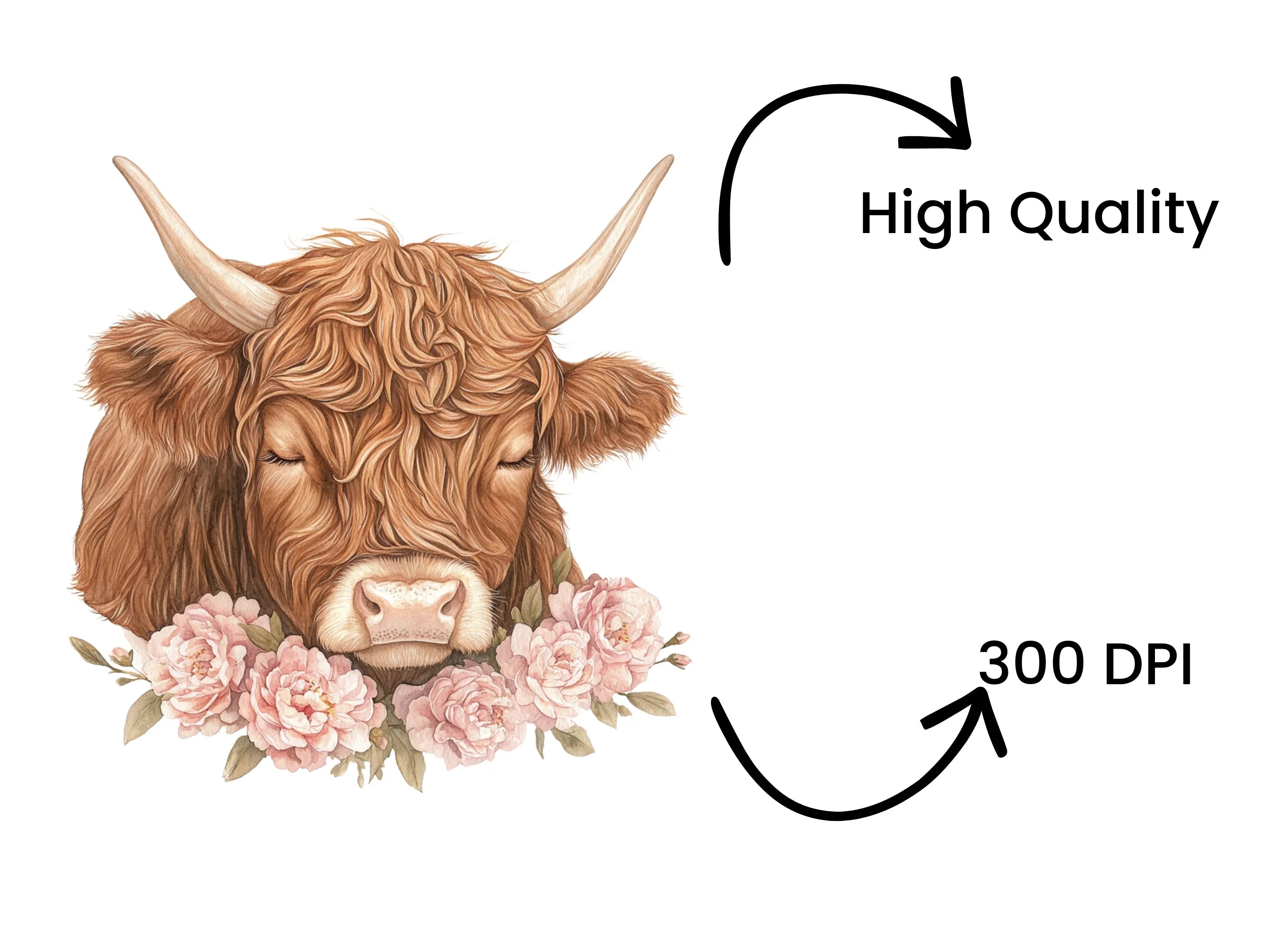 Highland Cow with Pink Peonies Clipart Bundle