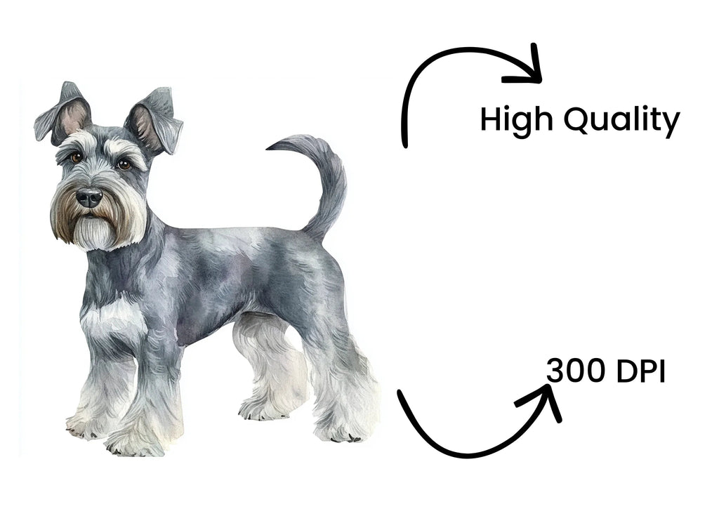 Miniature Schnauzer Clipart Bundle