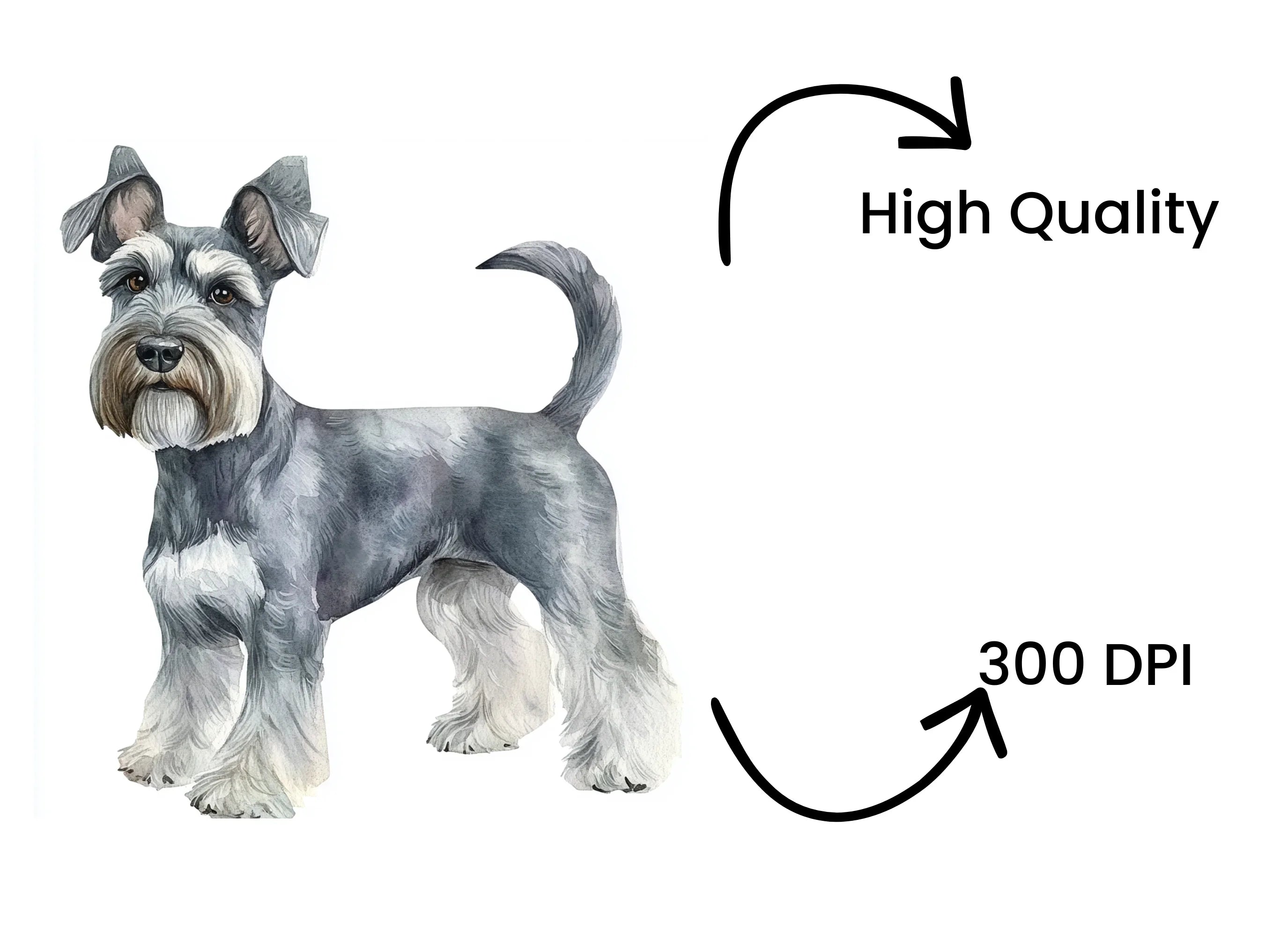 Miniature Schnauzer Clipart Bundle