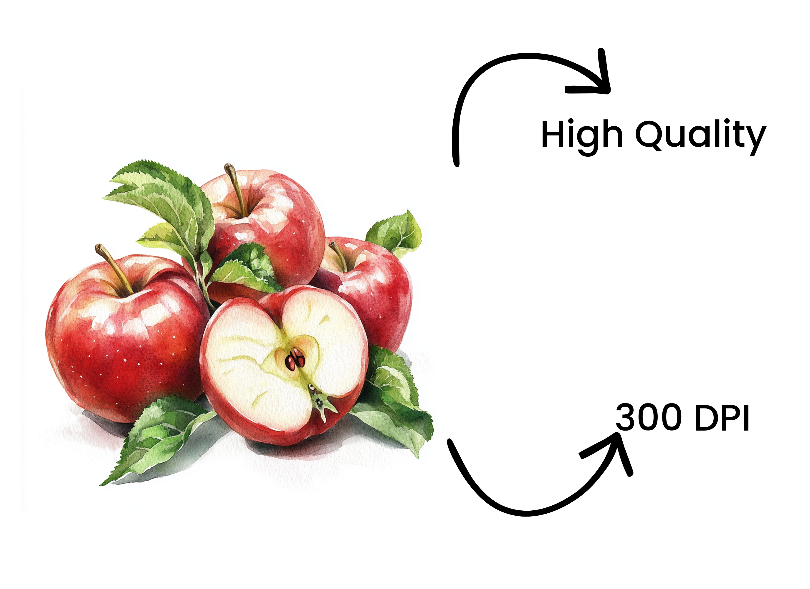 Fresh Red Apples Clipart Bundle