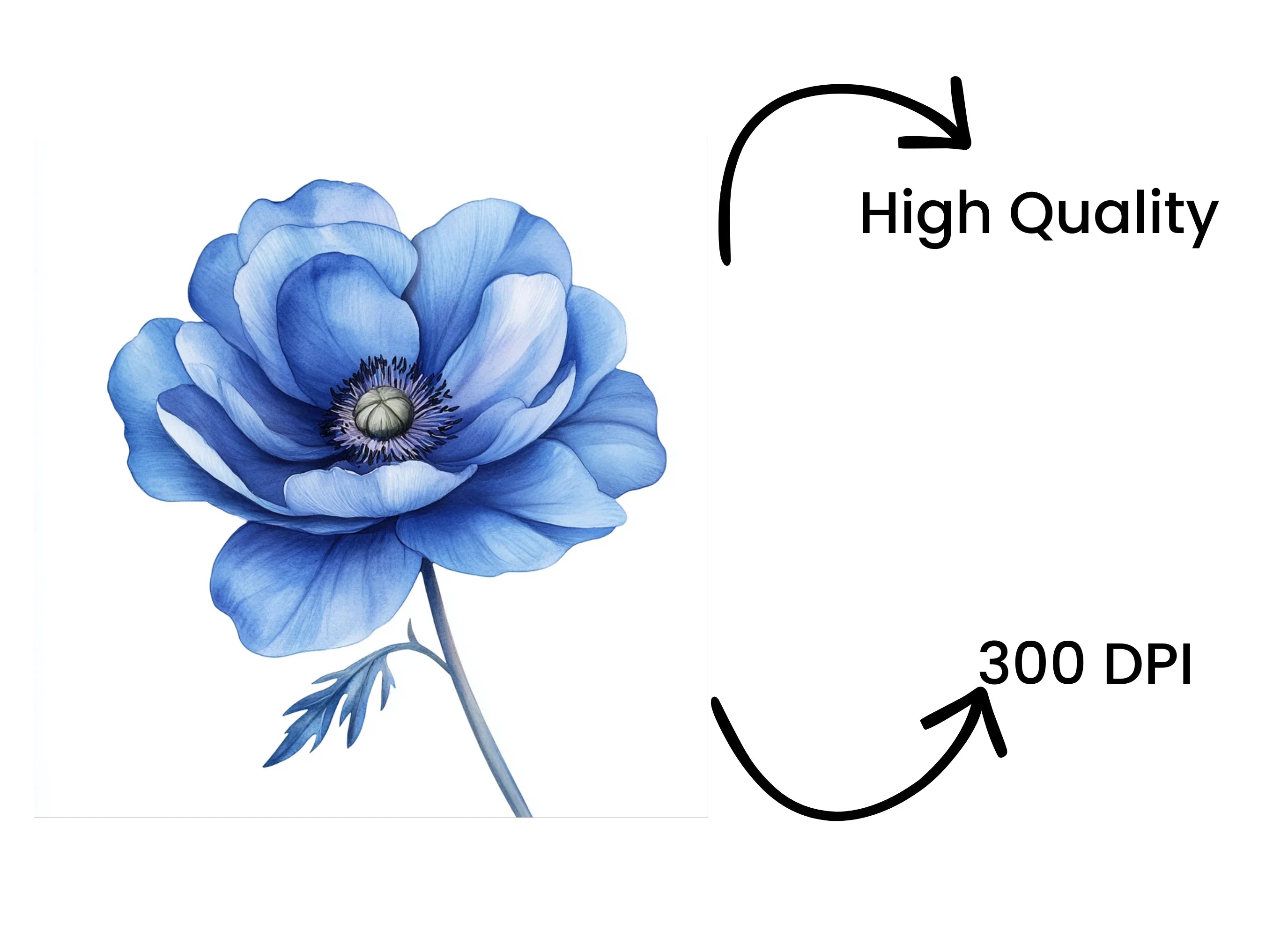 Vibrant Blue Anemone Flower Clipart Bundle