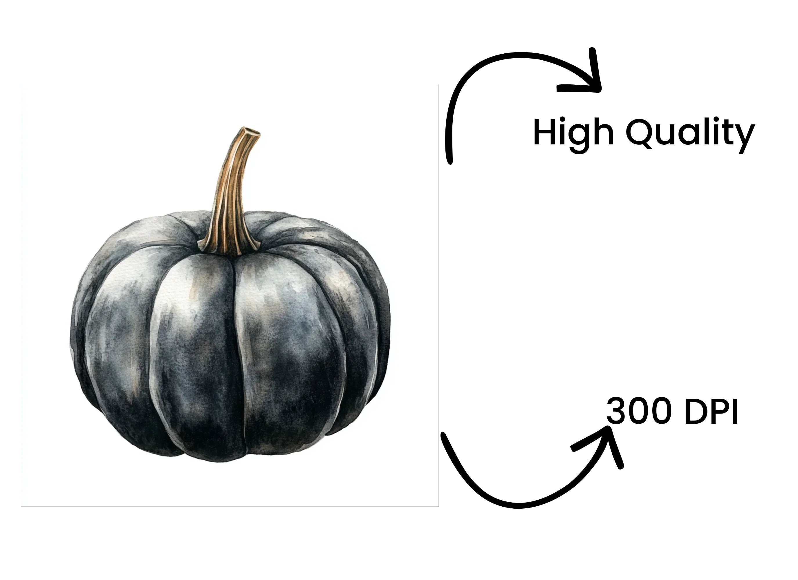Black Pumpkins Clipart Bundle