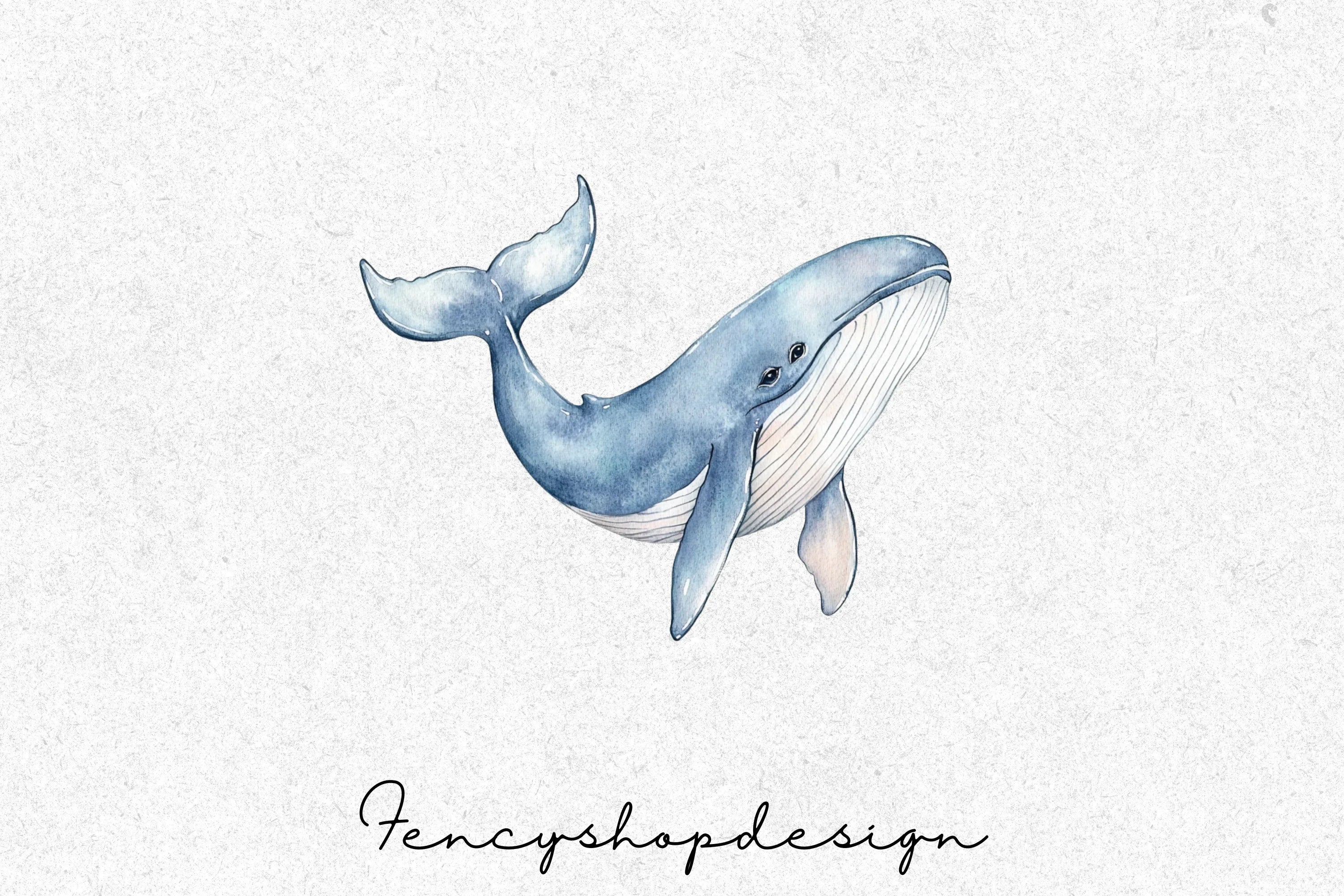Whale and Dolphin Clipart Bundle