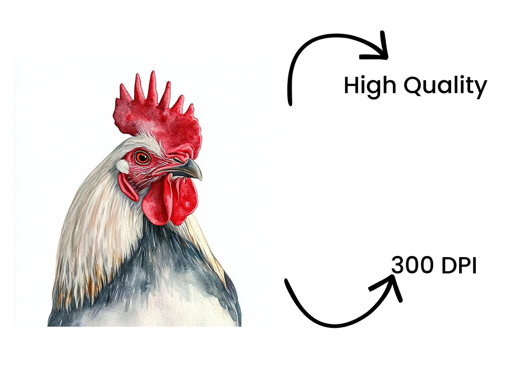Rooster Clipart Bundle
