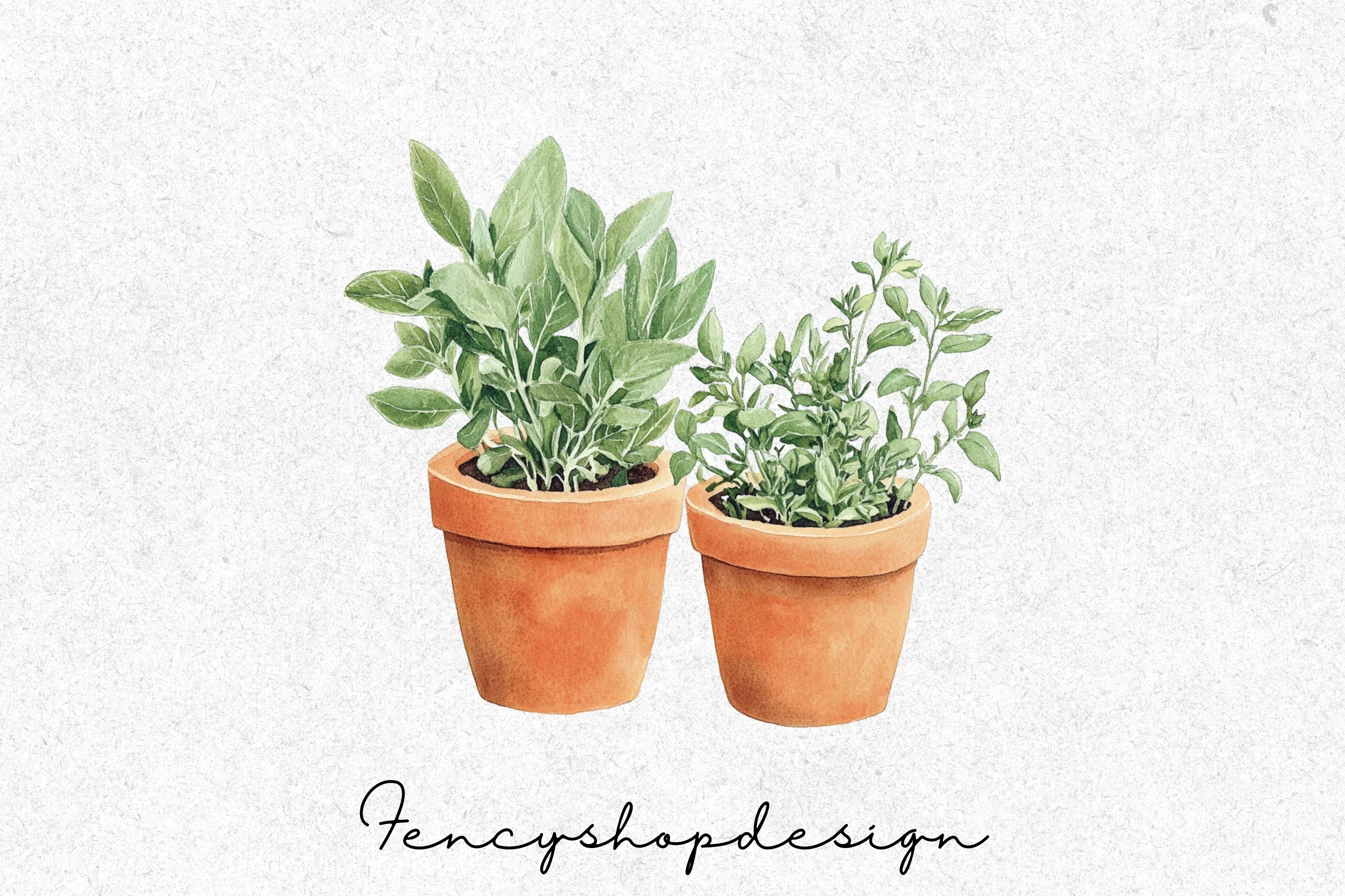 Potted Herbs Clipart Bundle