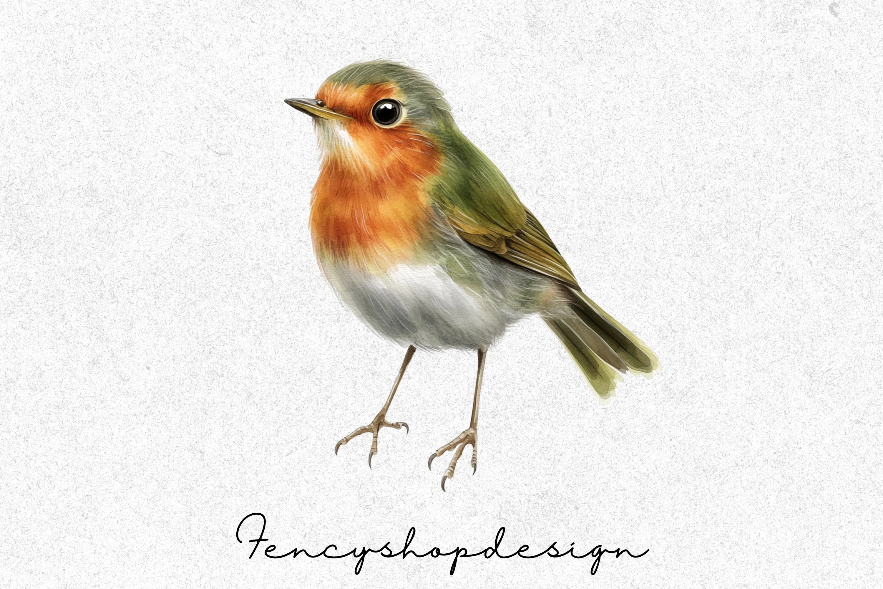 Robin Bird Clipart Bundle