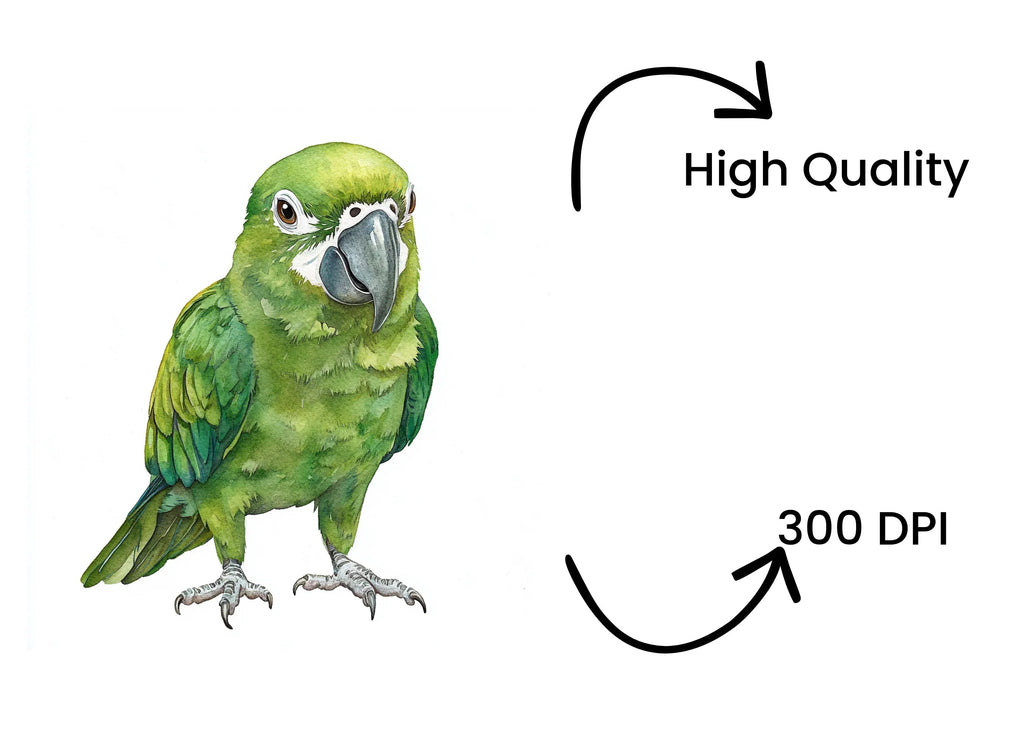 Green Parrot Clipart Bundle