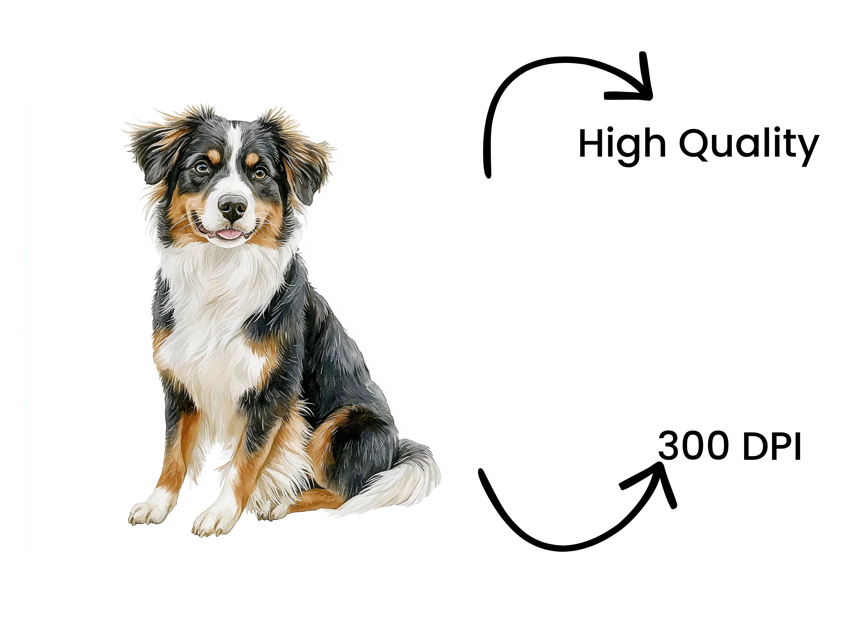 Australian Shepherd Dog Clipart Bundle