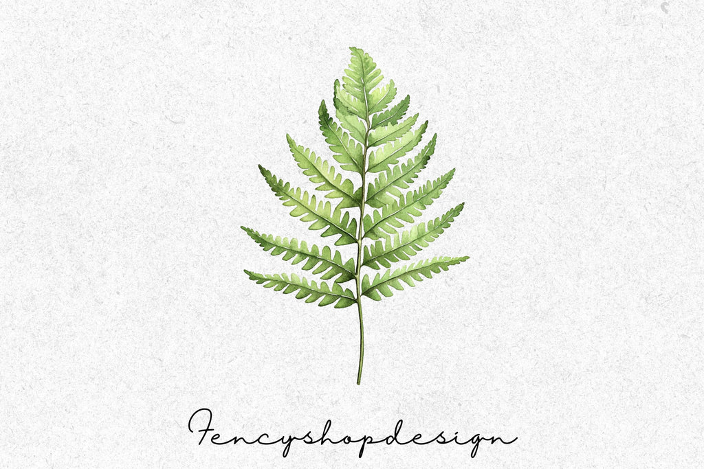 Green Fern Leaves Clipart Bundle