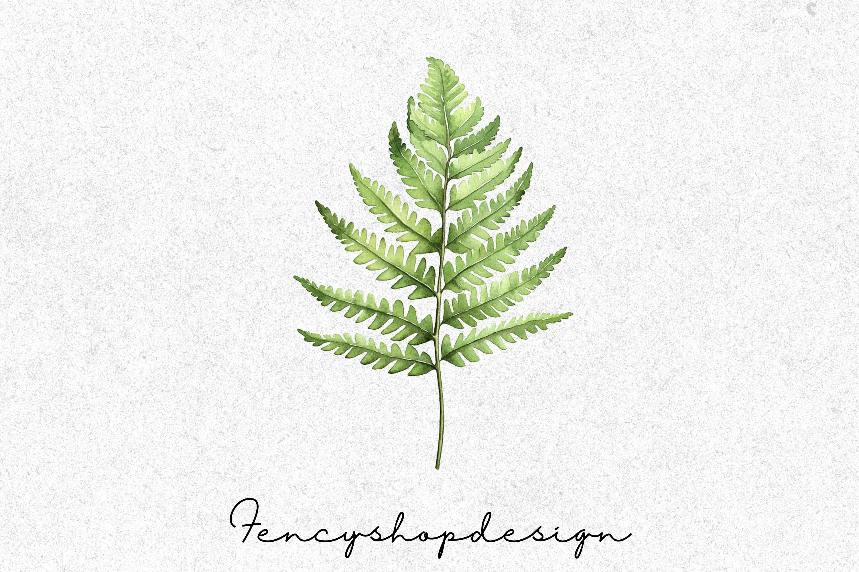 Green Fern Leaves Clipart Bundle
