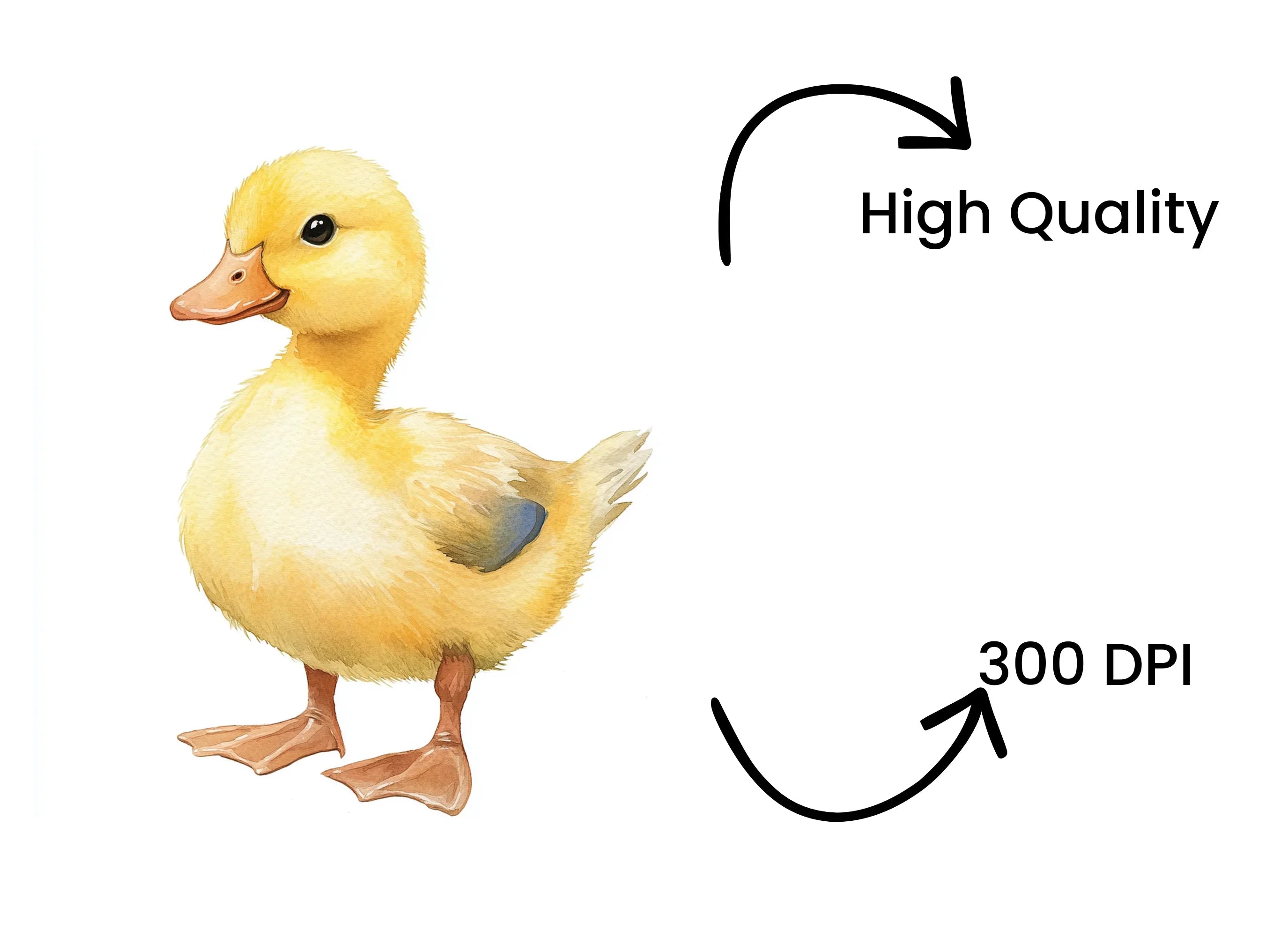 Cute Yellow Duckling Clipart Bundle