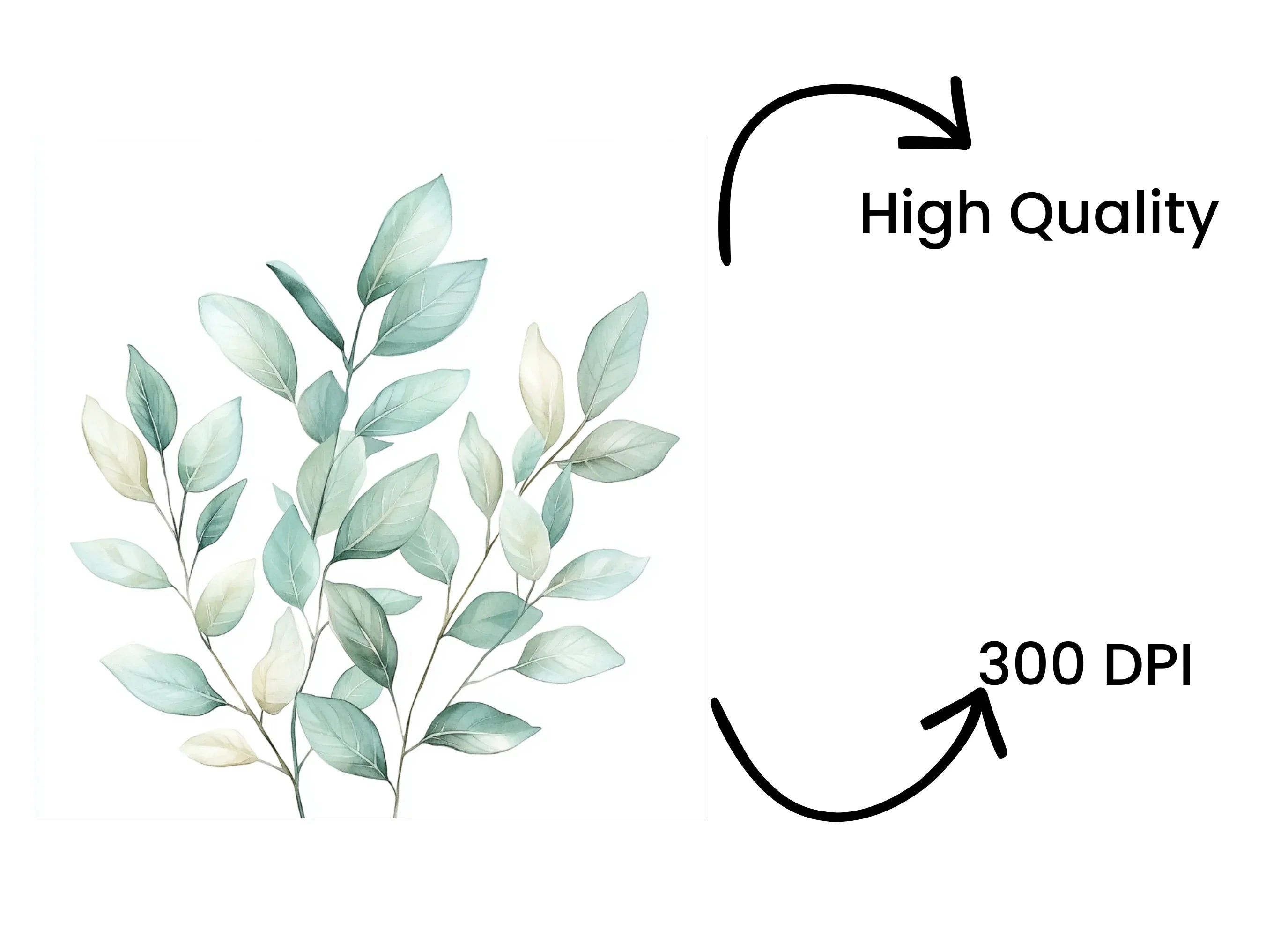 Tree Clipart Bundle