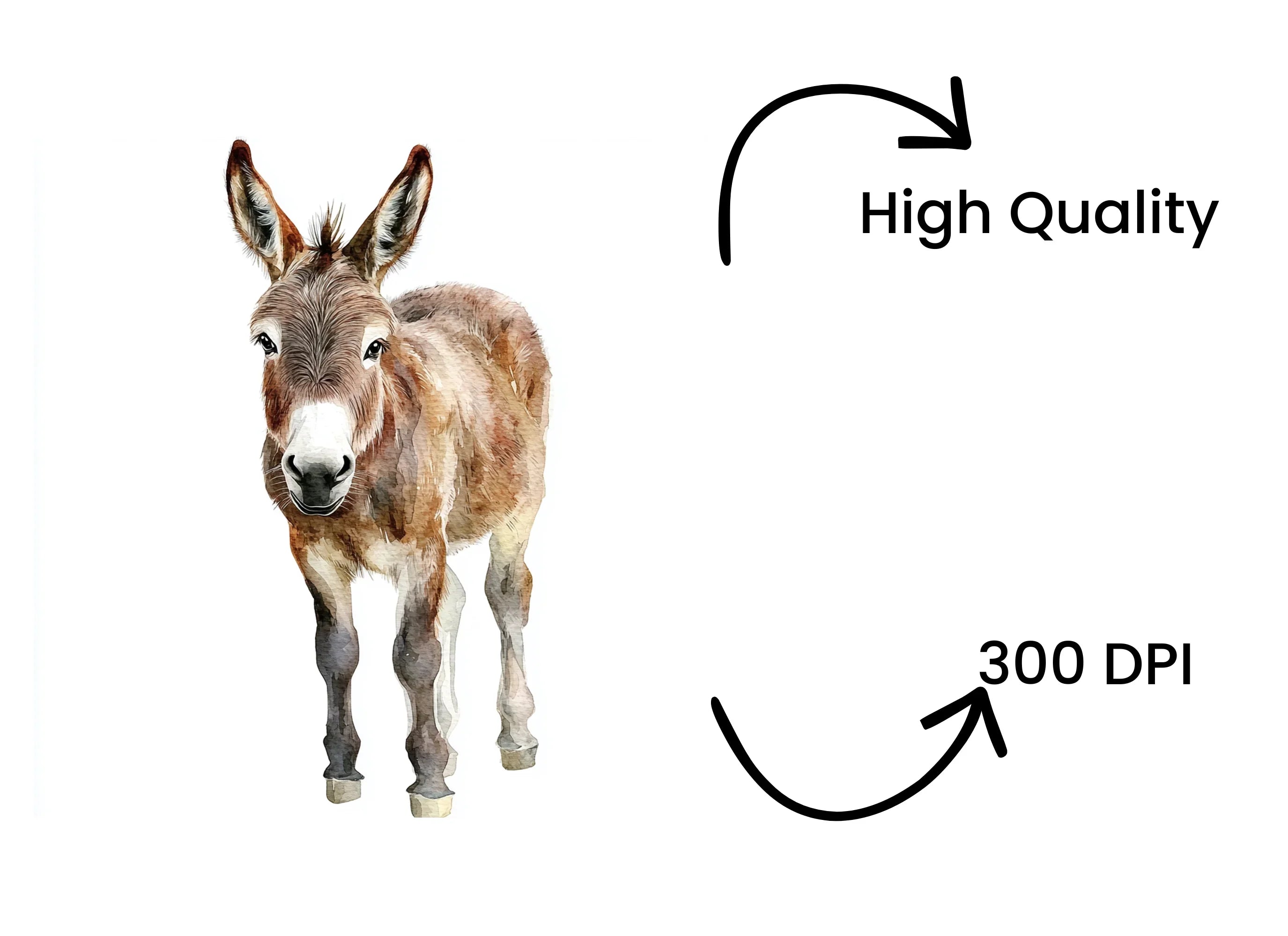 Donkey Clipart Bundle