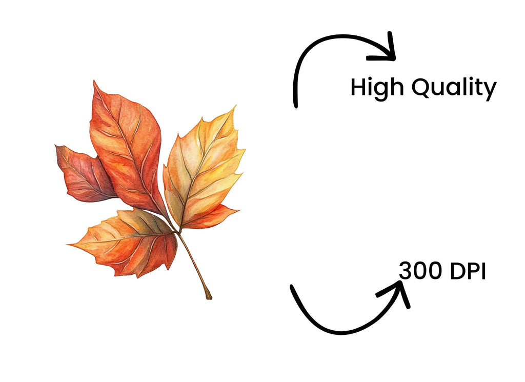 Autumn Leaves Clipart Bundle