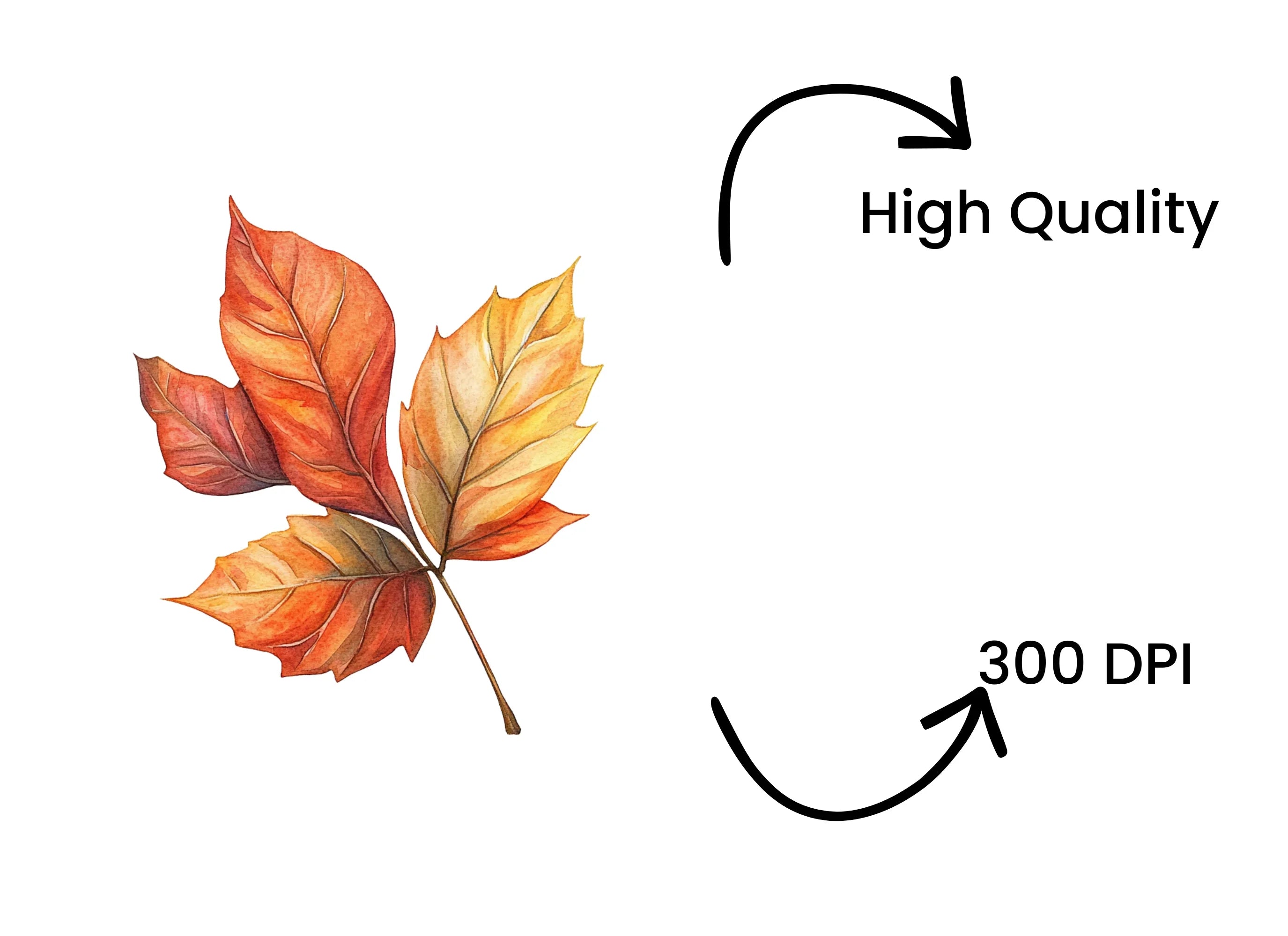Autumn Leaves Clipart Bundle