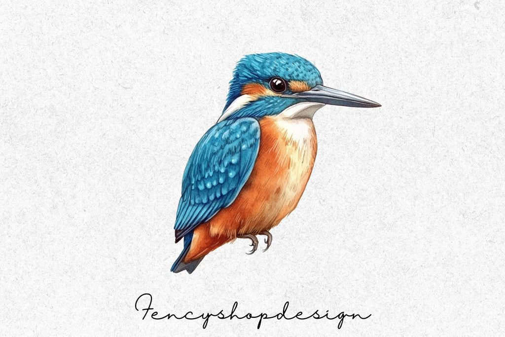 Kingfisher Birds Clipart Bundle