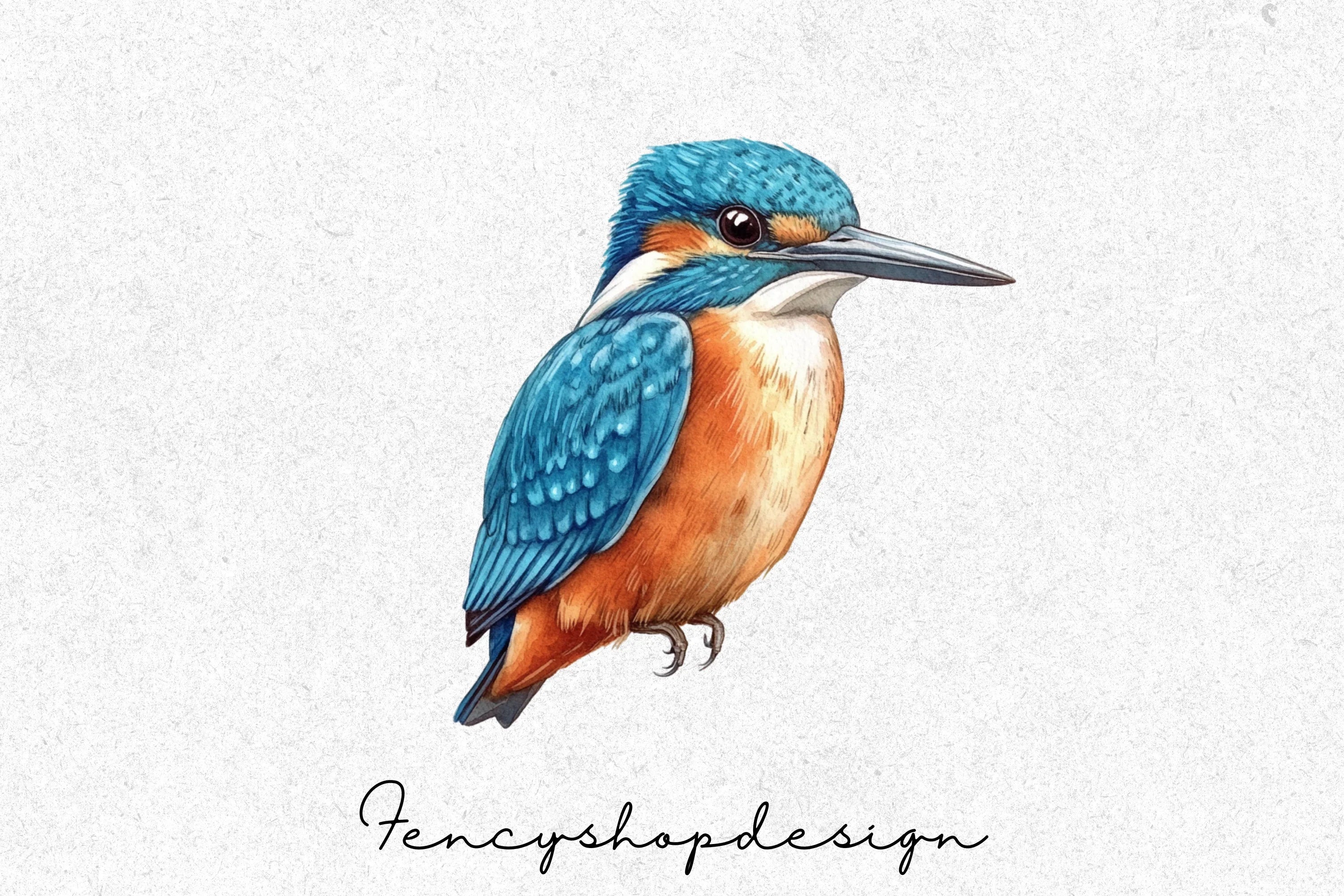 Kingfisher Birds Clipart Bundle