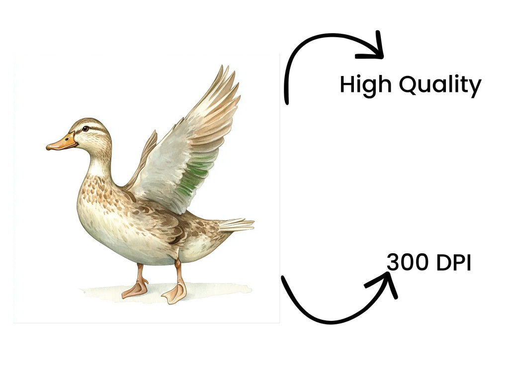Mallard Duck Clipart Bundle