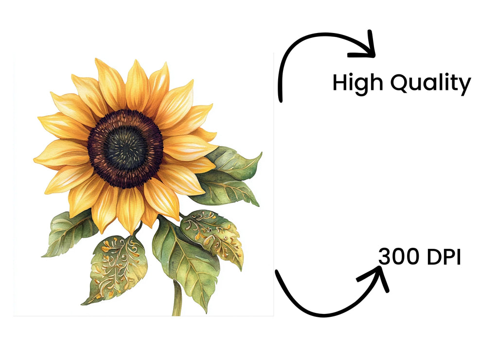 Bright Sunflower Clipart Bundle