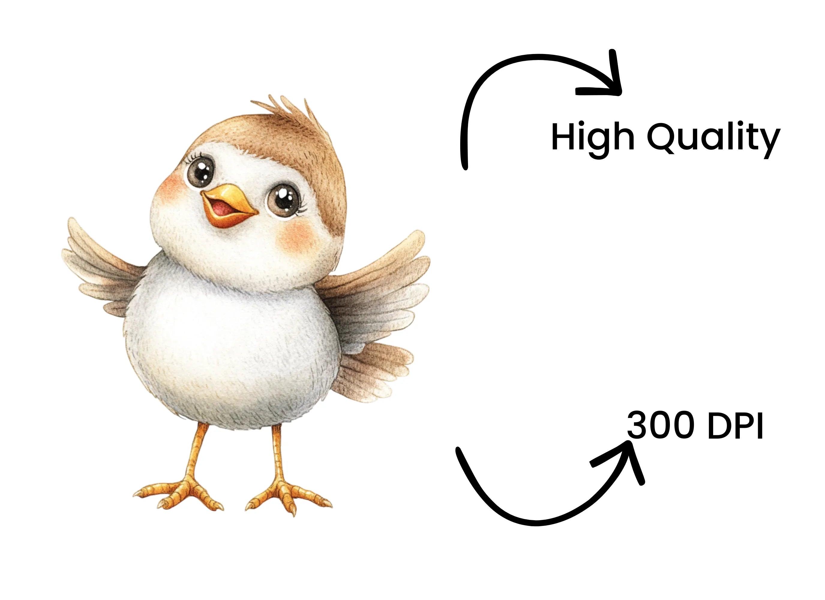 Cute Baby Birds Clipart Bundle