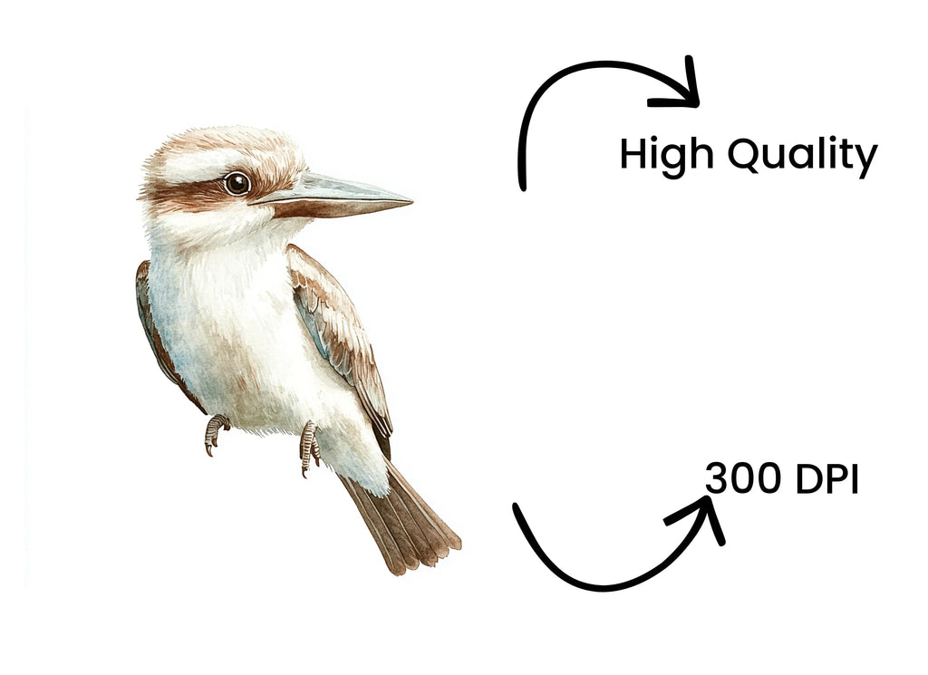 Cute Kookaburra Clipart Bundle