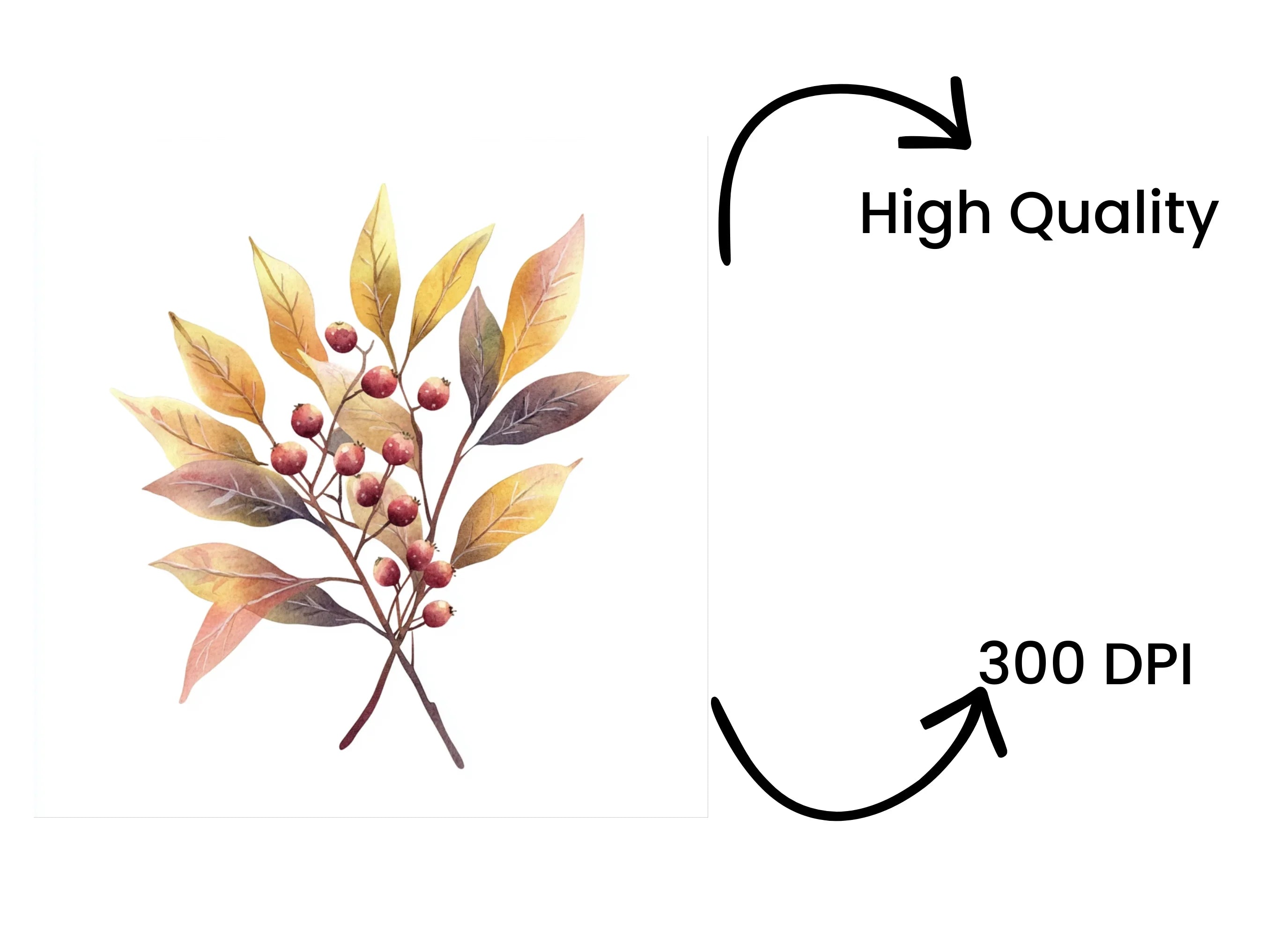 Autumn Berry Leaf Clipart Bundle