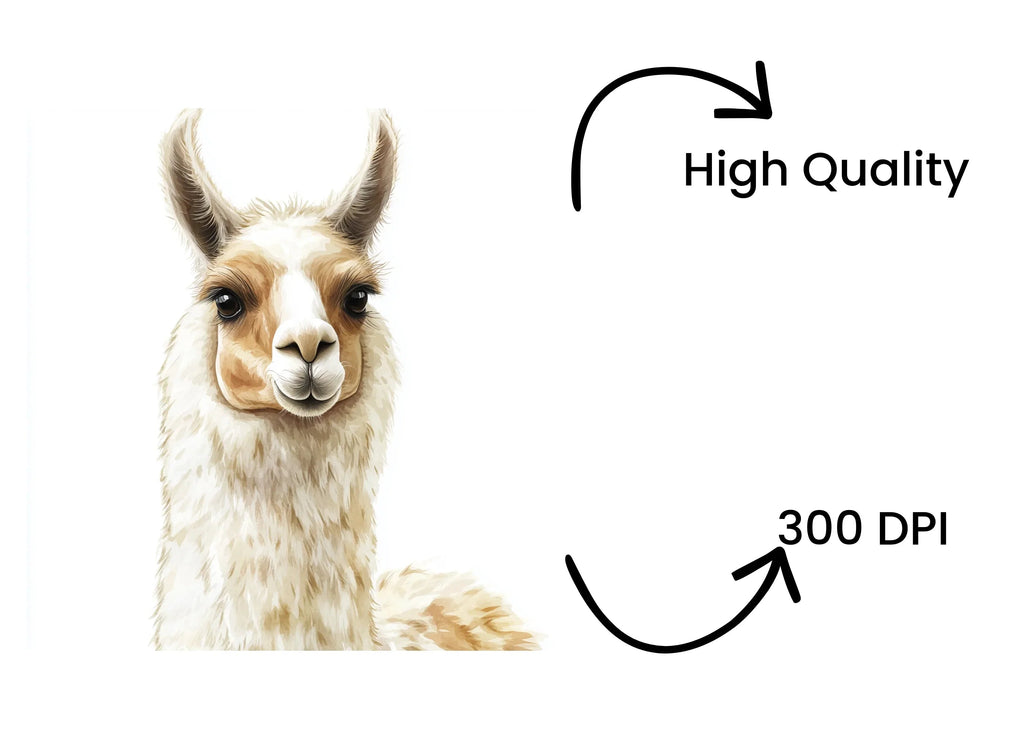 Charming Llama Portraits Clipart Bundle