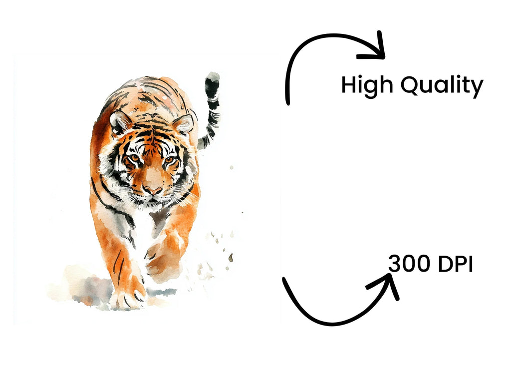 Tiger Clipart Bundle