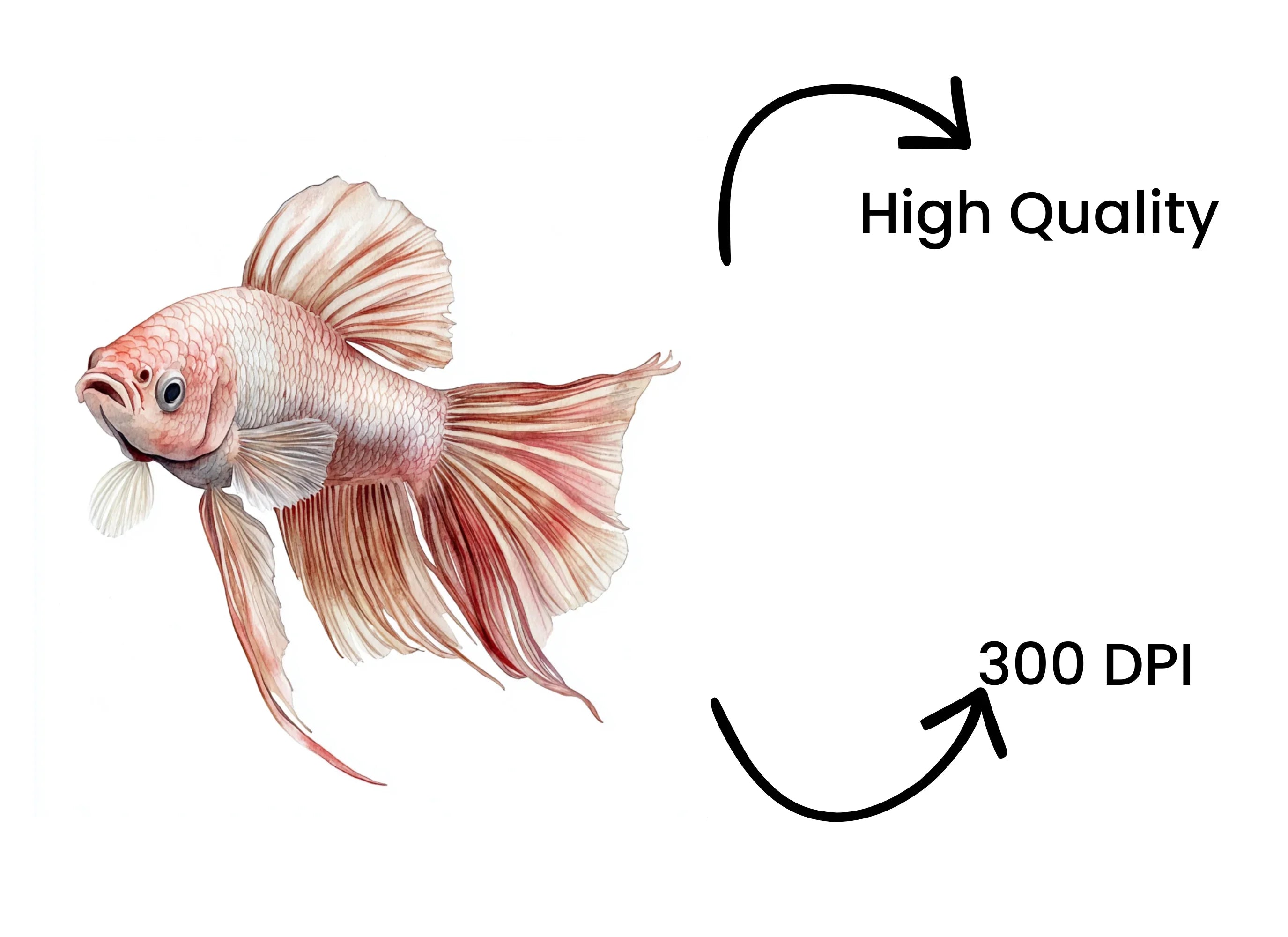 Vibrant Betta Fish Clipart Bundle