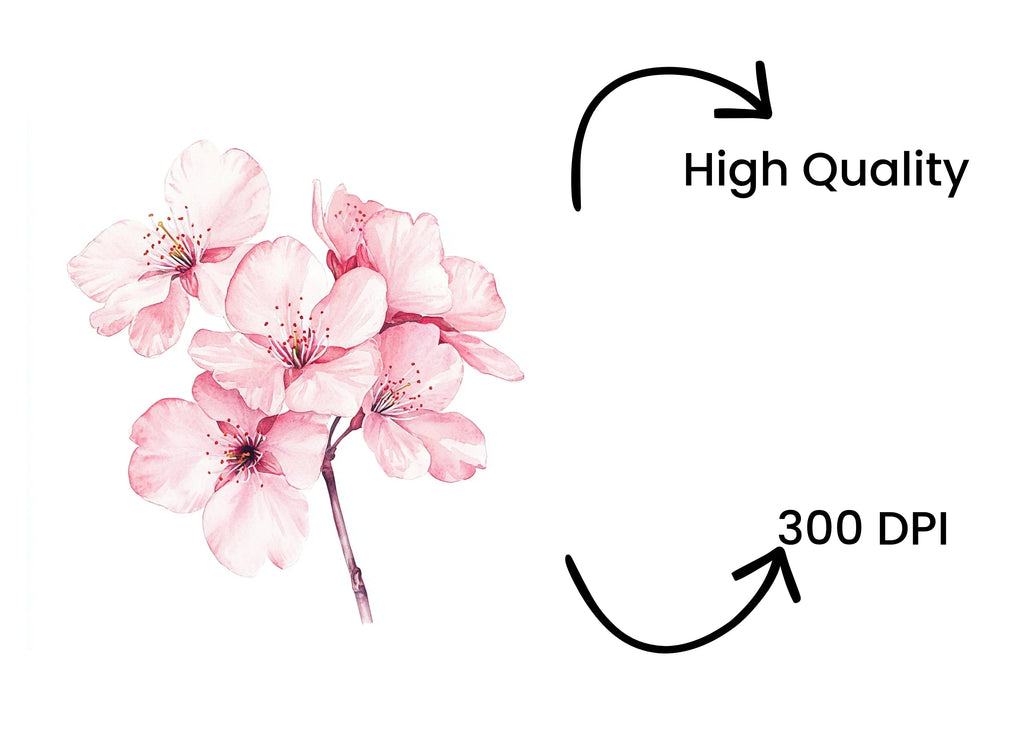 Cherry Blossom Clipart Bundle