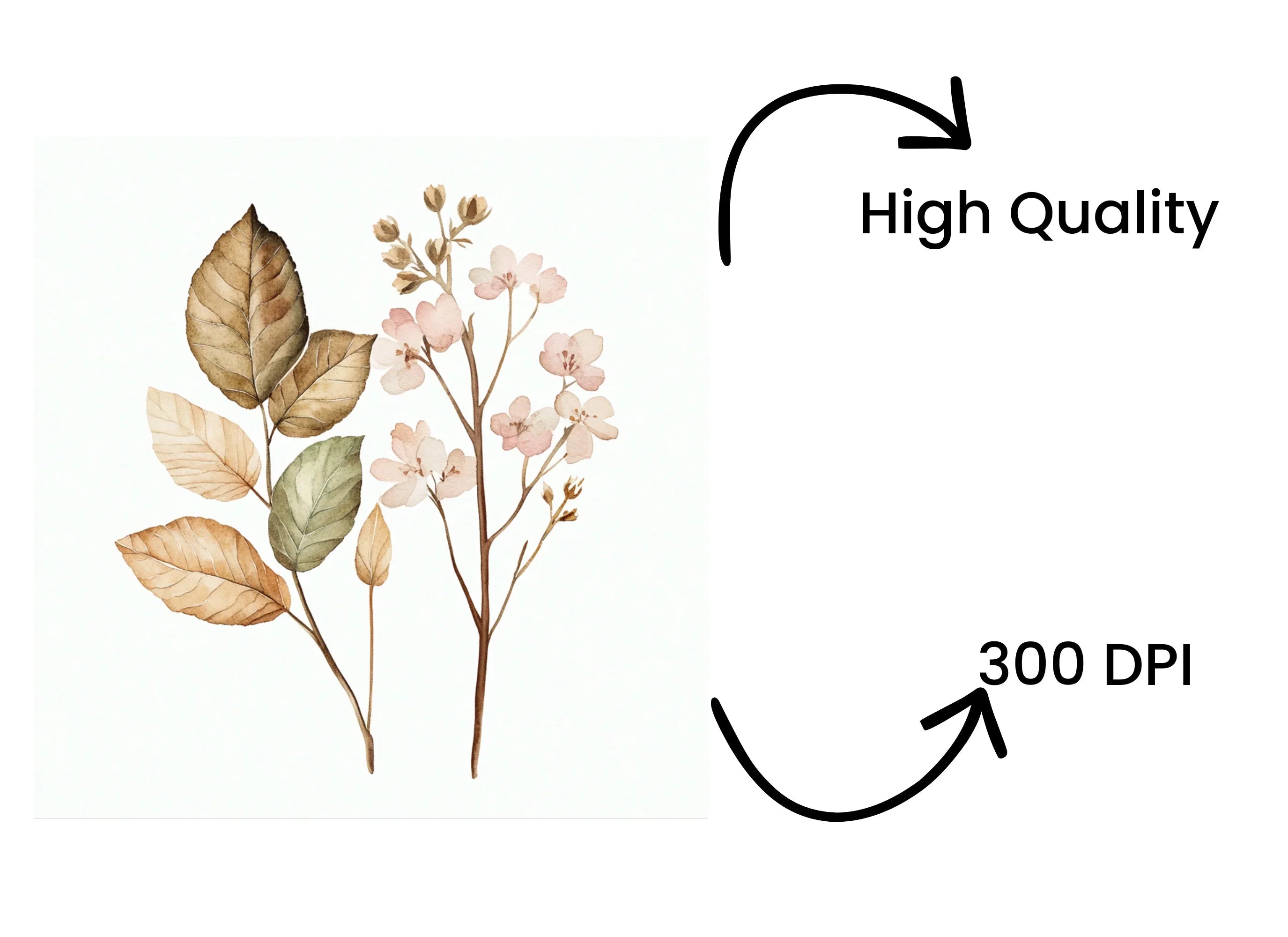 Autumn Leaves Flowers Clipart Bundle