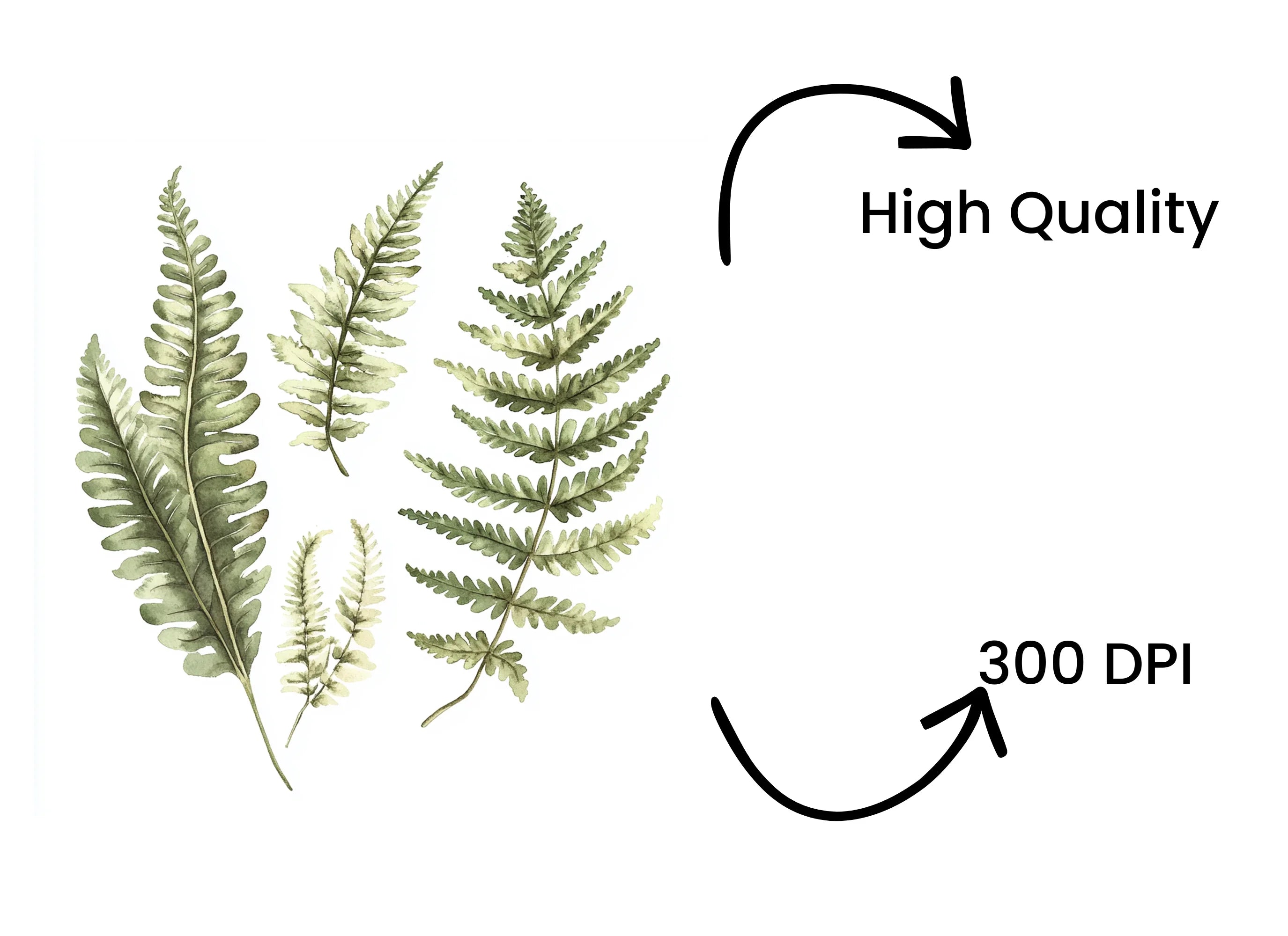 Green Fern Foliage Clipart Bundle