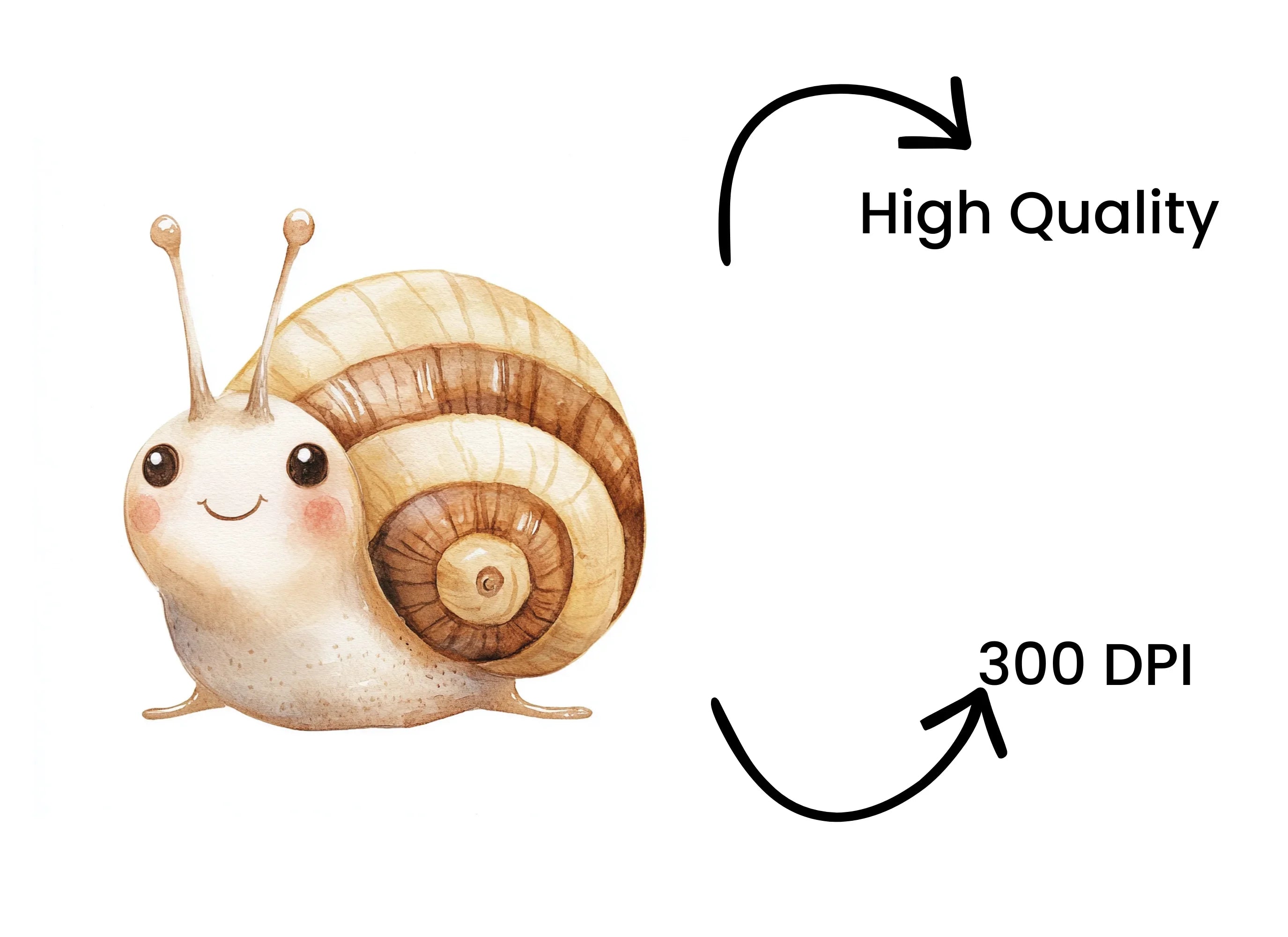 Cute Snail Clipart Bundle