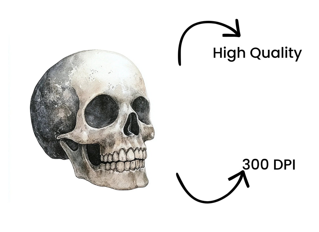 Side View Skull Clipart Bundle